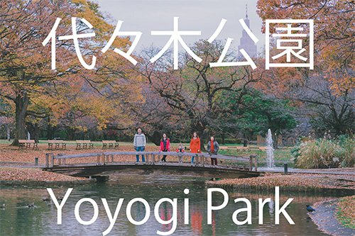 Photo Spot in Tokyo: Yoyogi Park