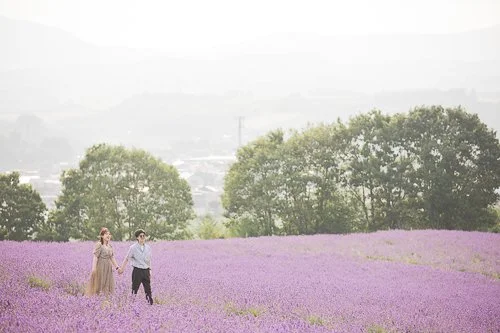 Hokkaido Photographer — Sapporo, Otaru, Furano &amp; Niseko