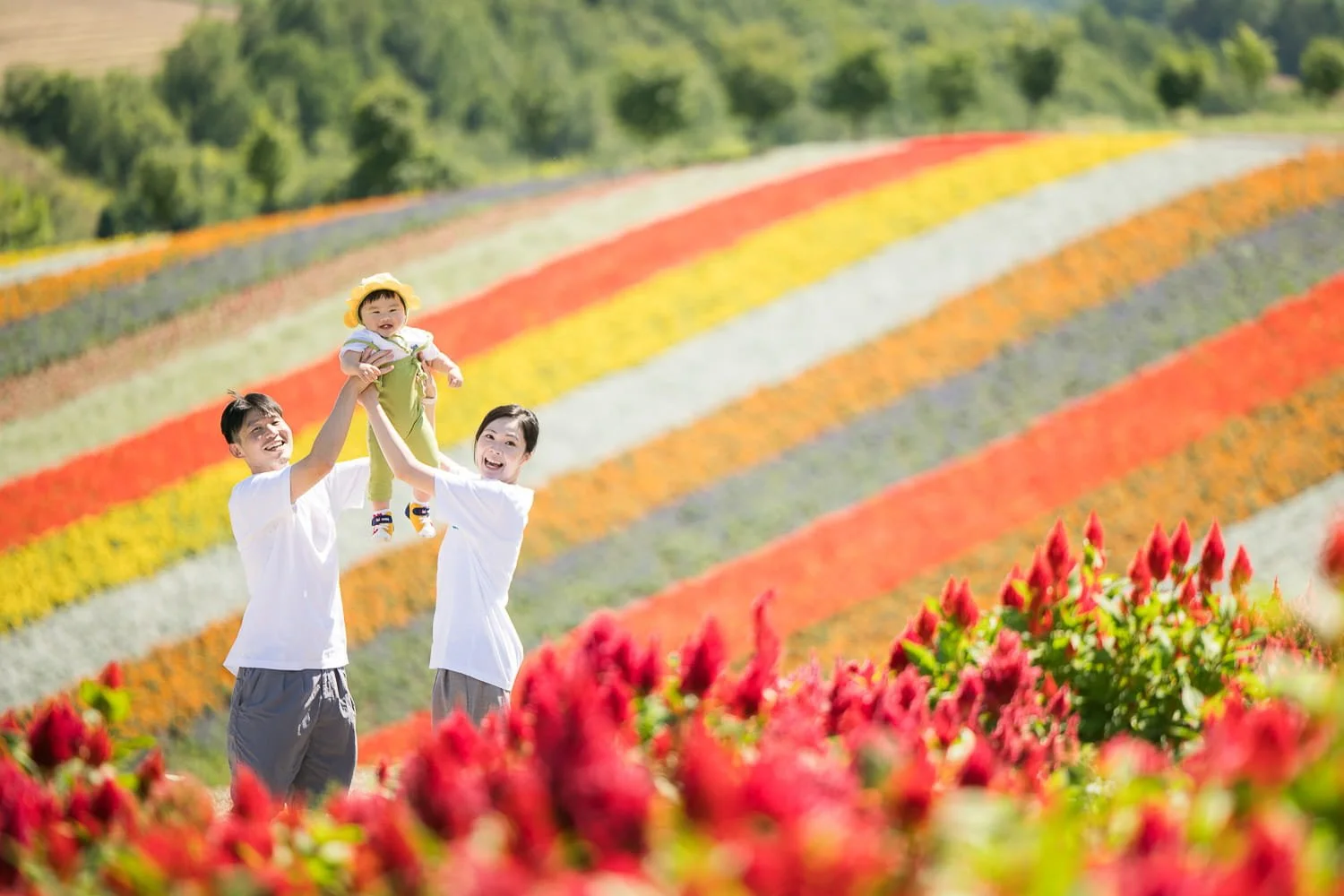 Biei_photographer_spring_family_photoshoot.jpg