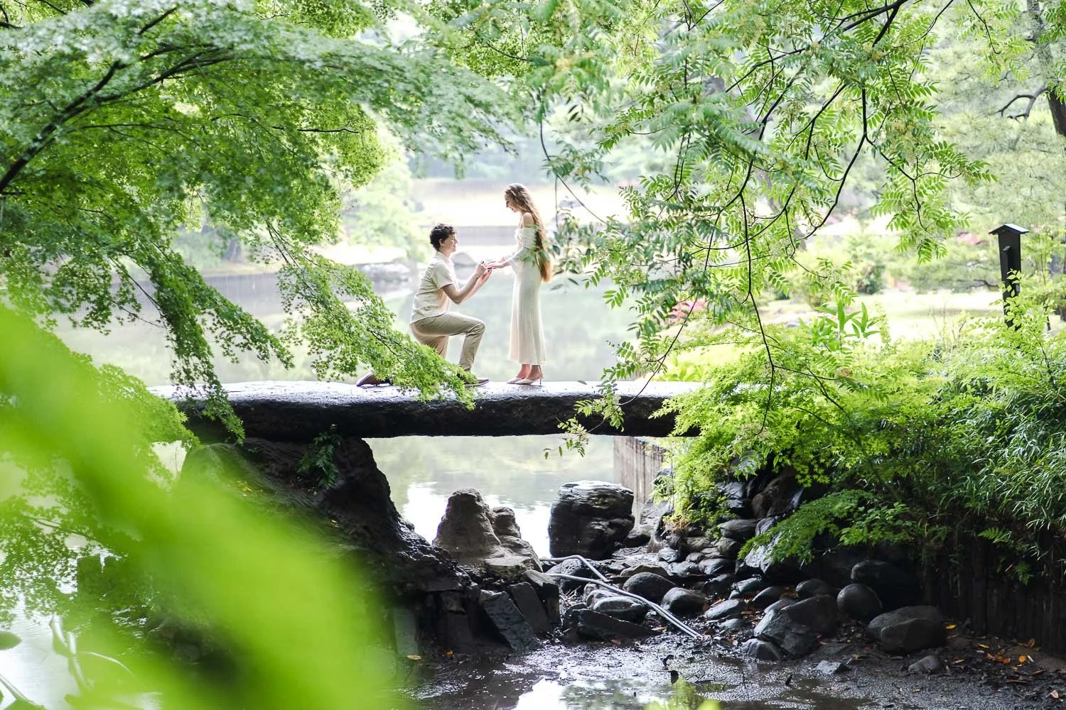A Surprise Proposal on the Stone Bridge at Rikugien Garden