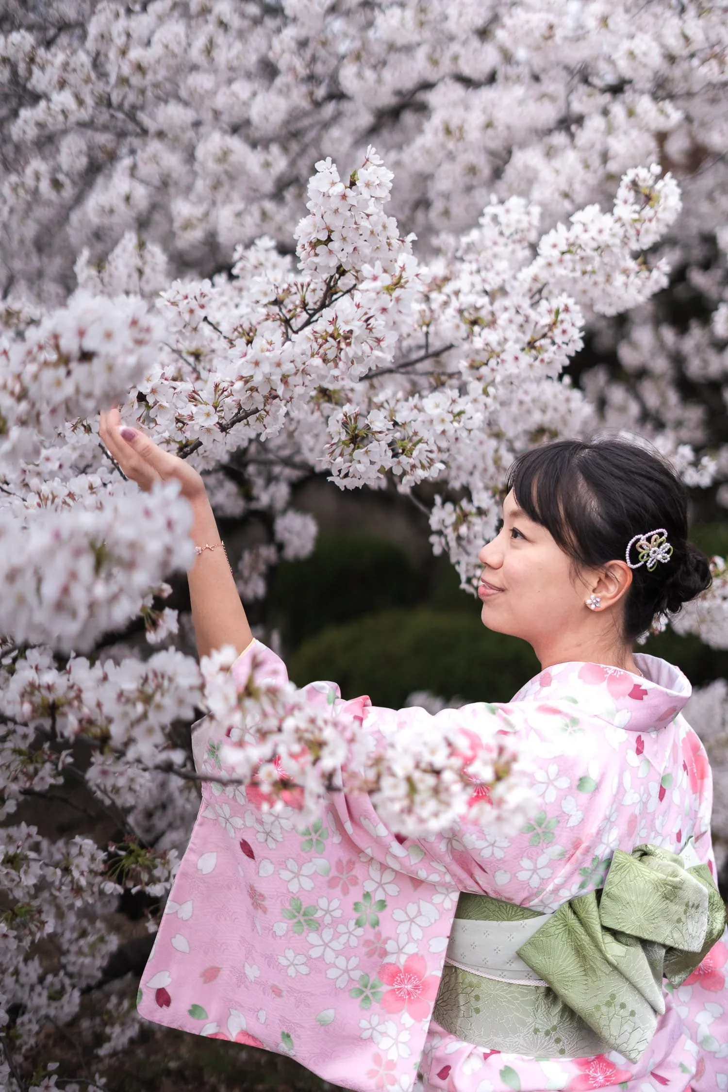 Kimono portrait shot of Grace appreciating cherry blossom flowers in Shinjuku Gyoen Park