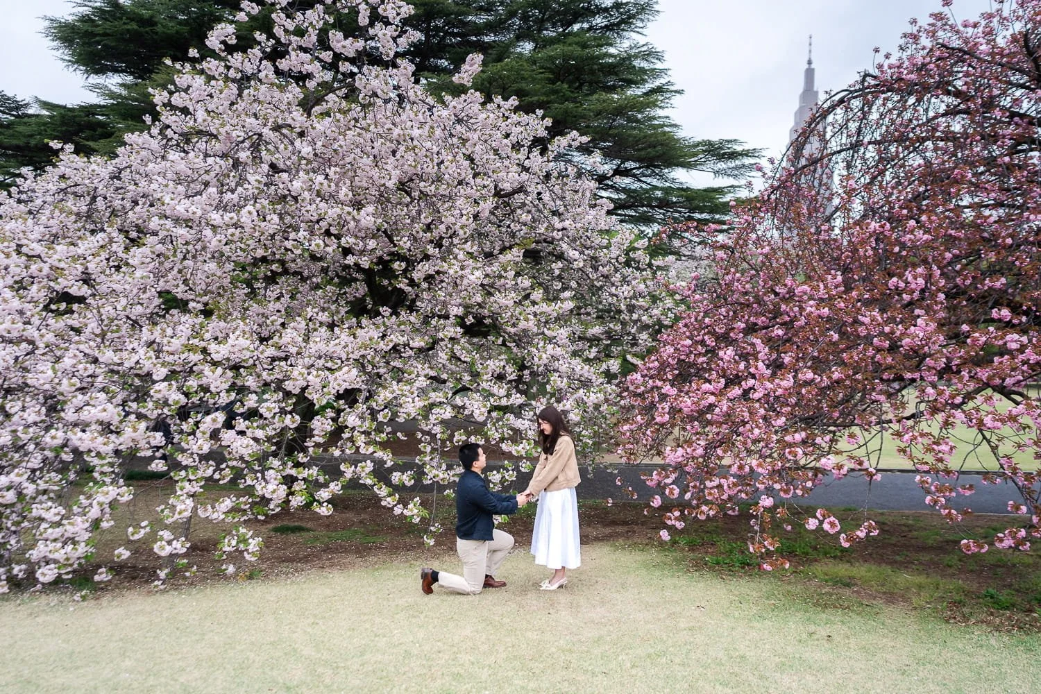 The best Tokyo proposal photographer who never missed a critical moment for any couple. Expert in Shinjuku Gyoen National Park.