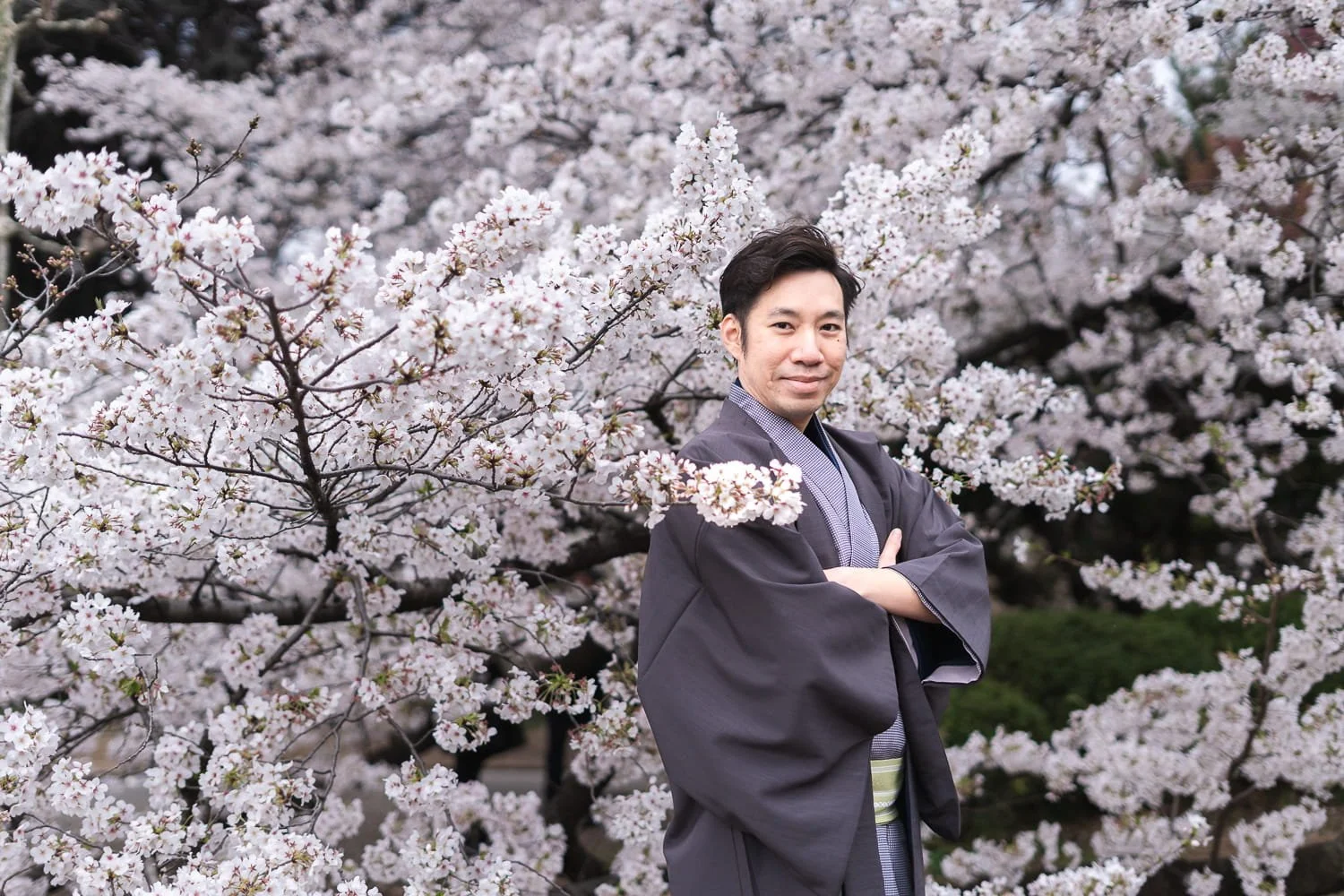 Kimono portrait shot of Perry standing next to cherry blossom flowers in Shinjuku Gyoen Park