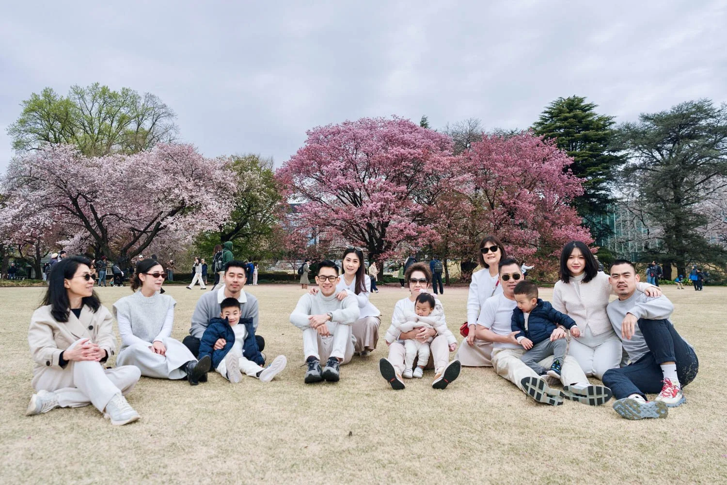 Multi-generational family walking together beneath cherry blossom trees in Shinjuku Gyoen National park