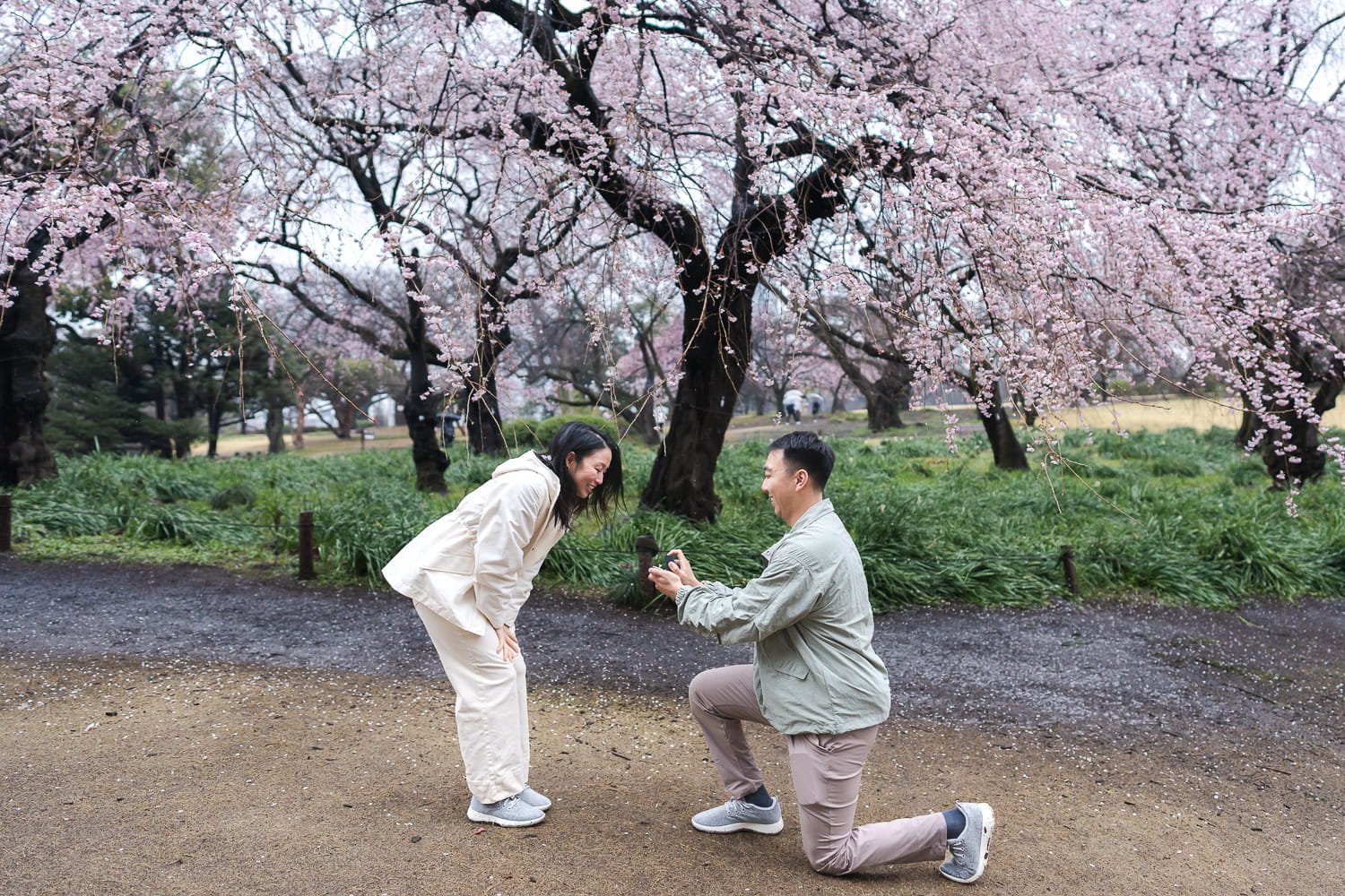 William presented a ring to Shirley witnessed by stunning weeping sakura trees in the background.