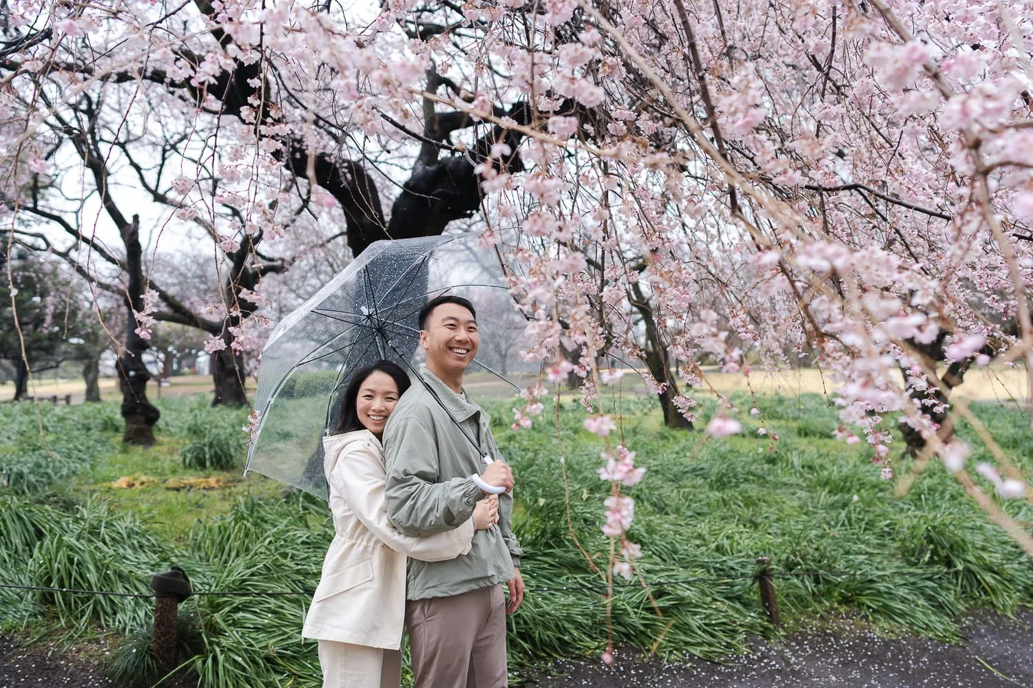 A couple hugging each other standing under weeping pink sakura flowers in Shinjuku Gyoen National Park
