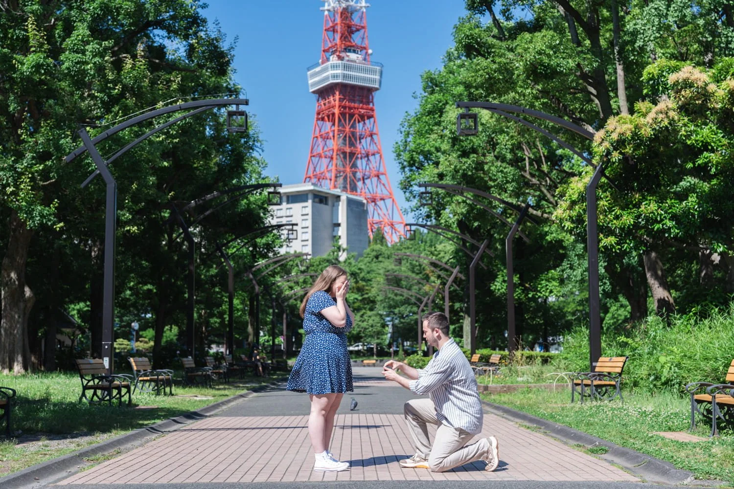 Jack pulled out a surprise to propose to Rosie during our couple photoshoot at Shiba Park