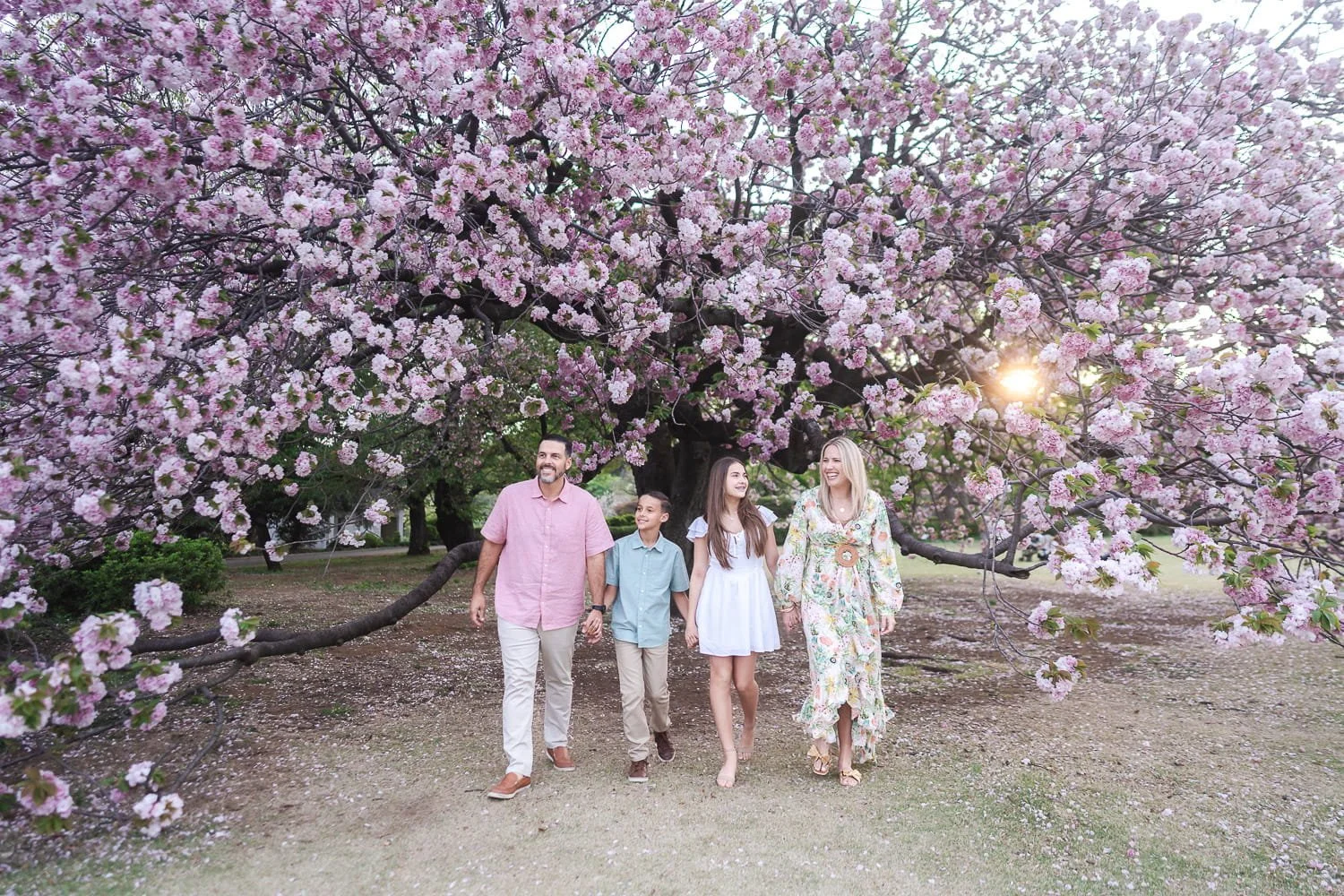 Jeffrey's family first visit to Tokyo exploring full-bloom cherry blossom in Shinjuku Gyoen Park