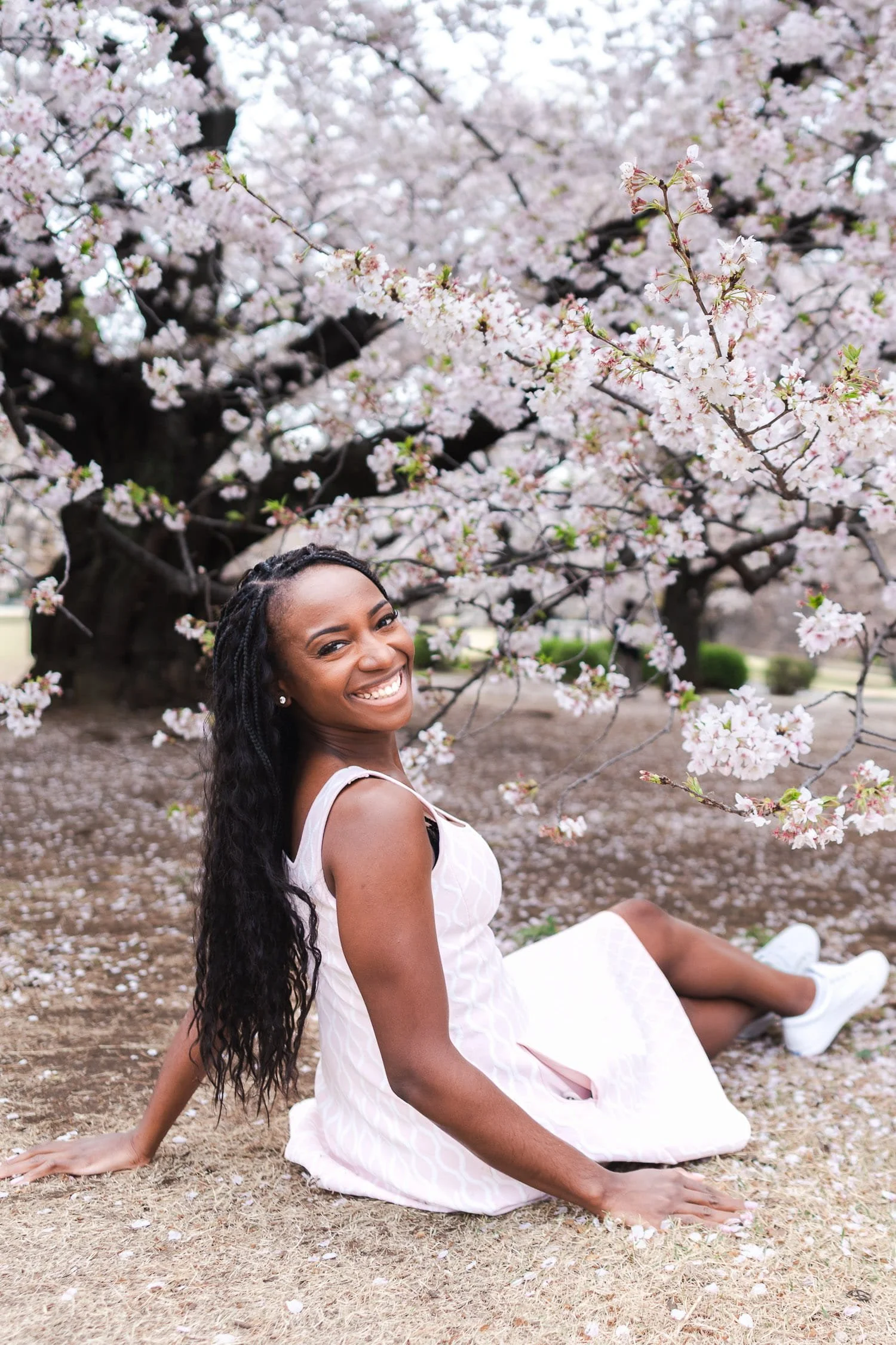 Female visitor to Tokyo enjoying full-bloom cherry blossom during a profile portrait photoshoot in Shinjuku