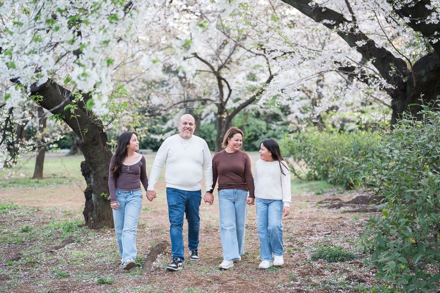 Natural, candid shots of an American family strolling under sakura trees in Tokyo