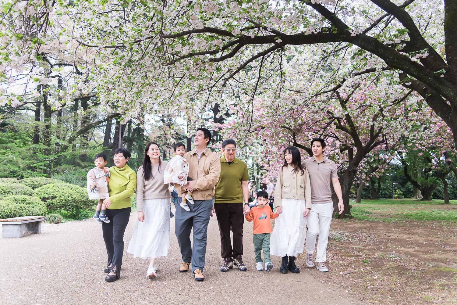 Multi-generational family walking together beneath cherry blossom trees in a Tokyo park