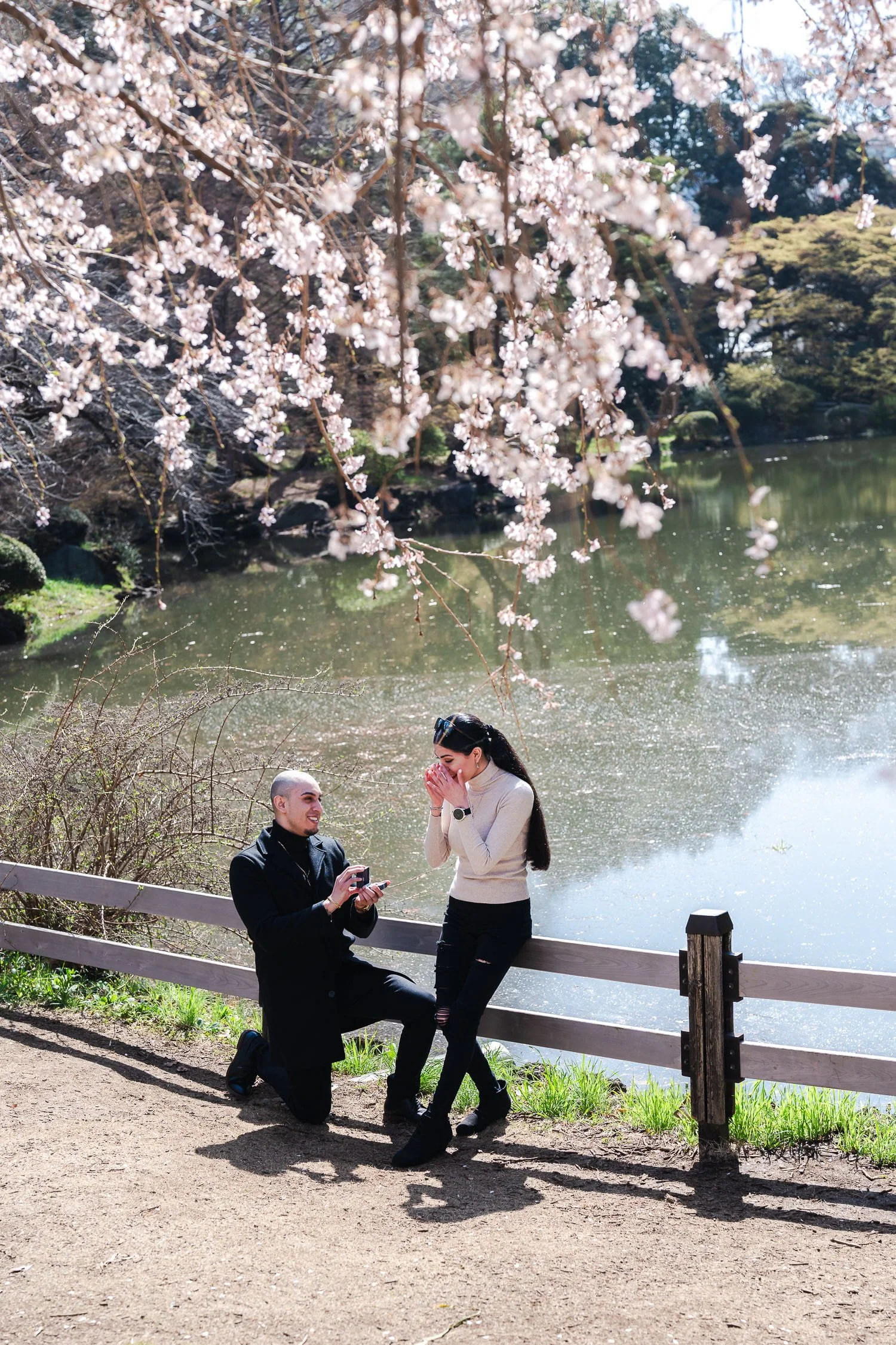 Heartfelt moment when she said yes to of a surprise proposal in Shinjuku Gyoen Park, Tokyo
