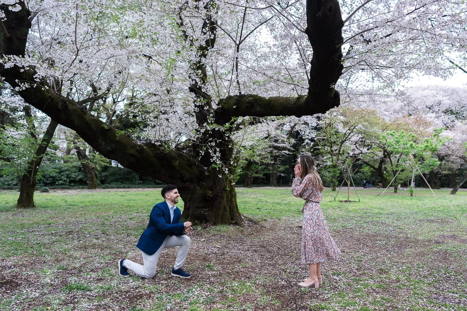 Happy moment when he pulled out the ring and asked her for  a hand in marriage. Photographed by Kanp, Tokyo proposal photographer.