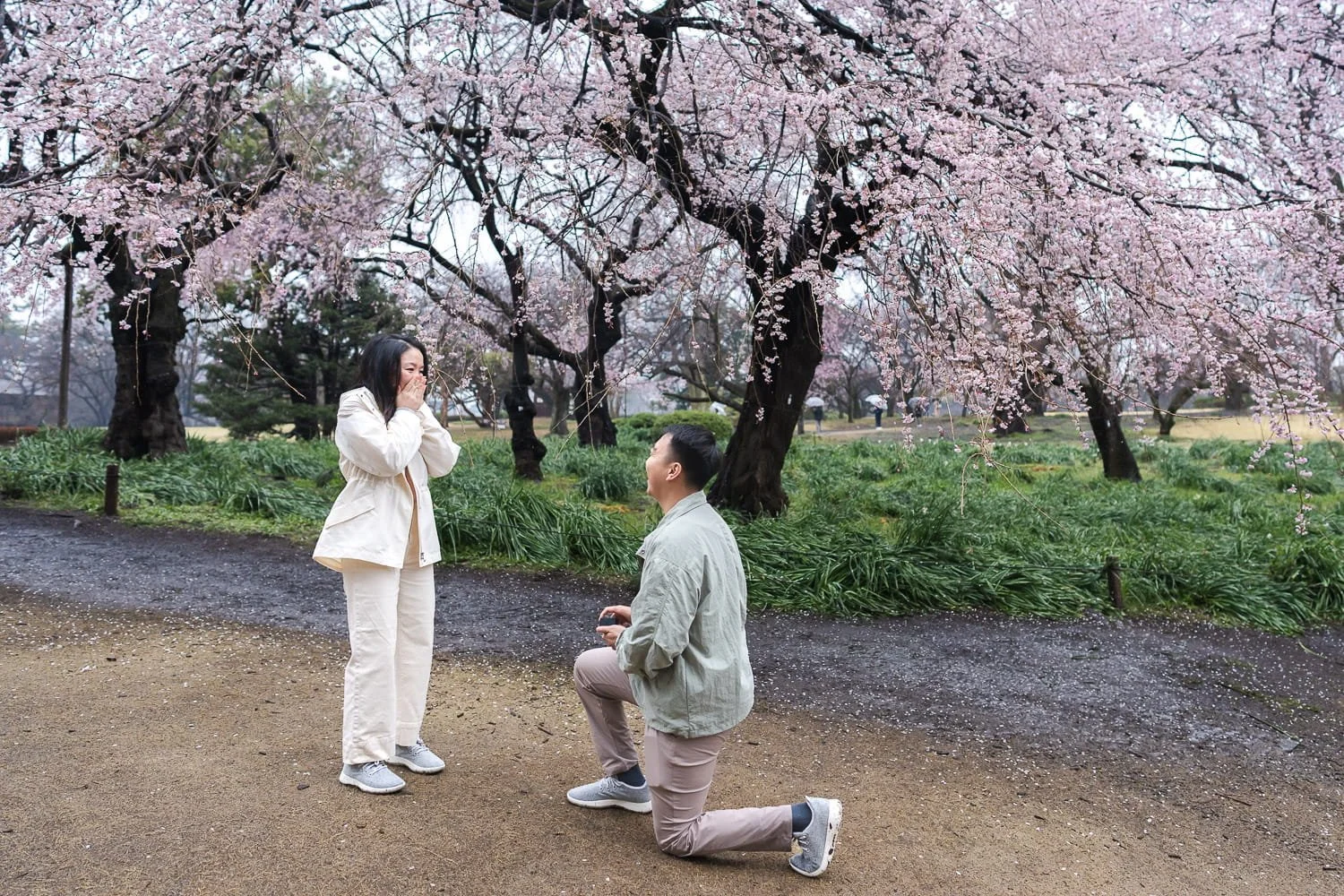 Shirley was caught by surprise when William got down on one knee to propose to her under full-bloom cherry blossom trees