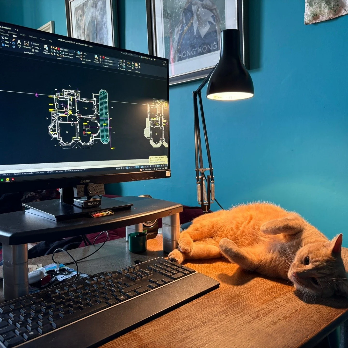 Working from home is not without its distractions... 😮

Our cat, Hooper, even wandered over the keyboard and deleted half the building! 🐈

Thank goodness for autosave 😂

#arctitecture
#listedbuilding 
#workingfromhome
#catlife