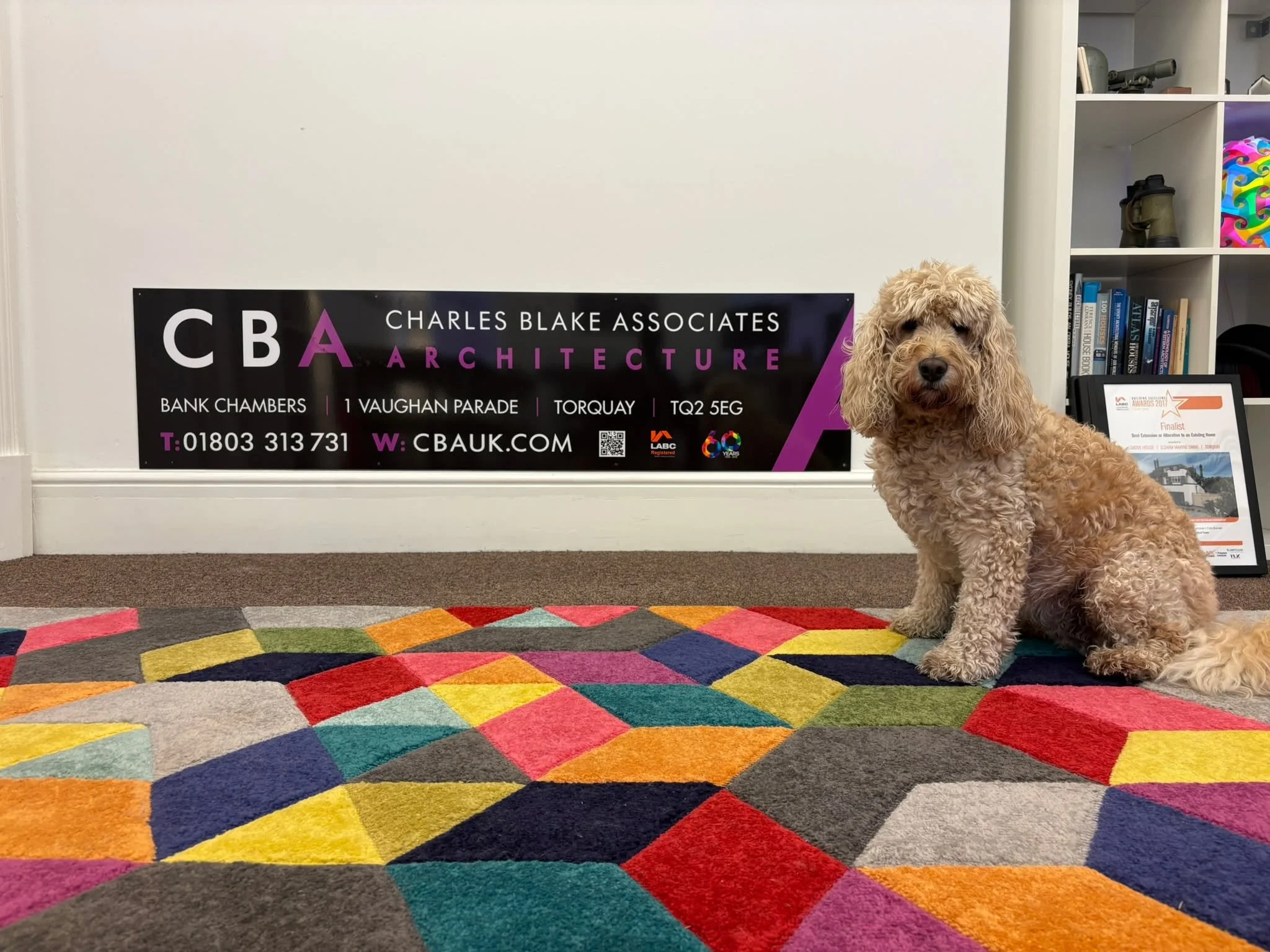 It's a great sign! 🤩 

 🟣 A sign of trusted architectural expertise 📐 

 🟣 A sign of progress and creation of new and unique spaces 🏡 

 🟣 A sign that animals and nature are a big part, as well as humans 🐕 

Last week we put up some lovely new