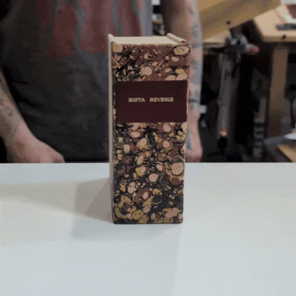 biota reverie box.gif