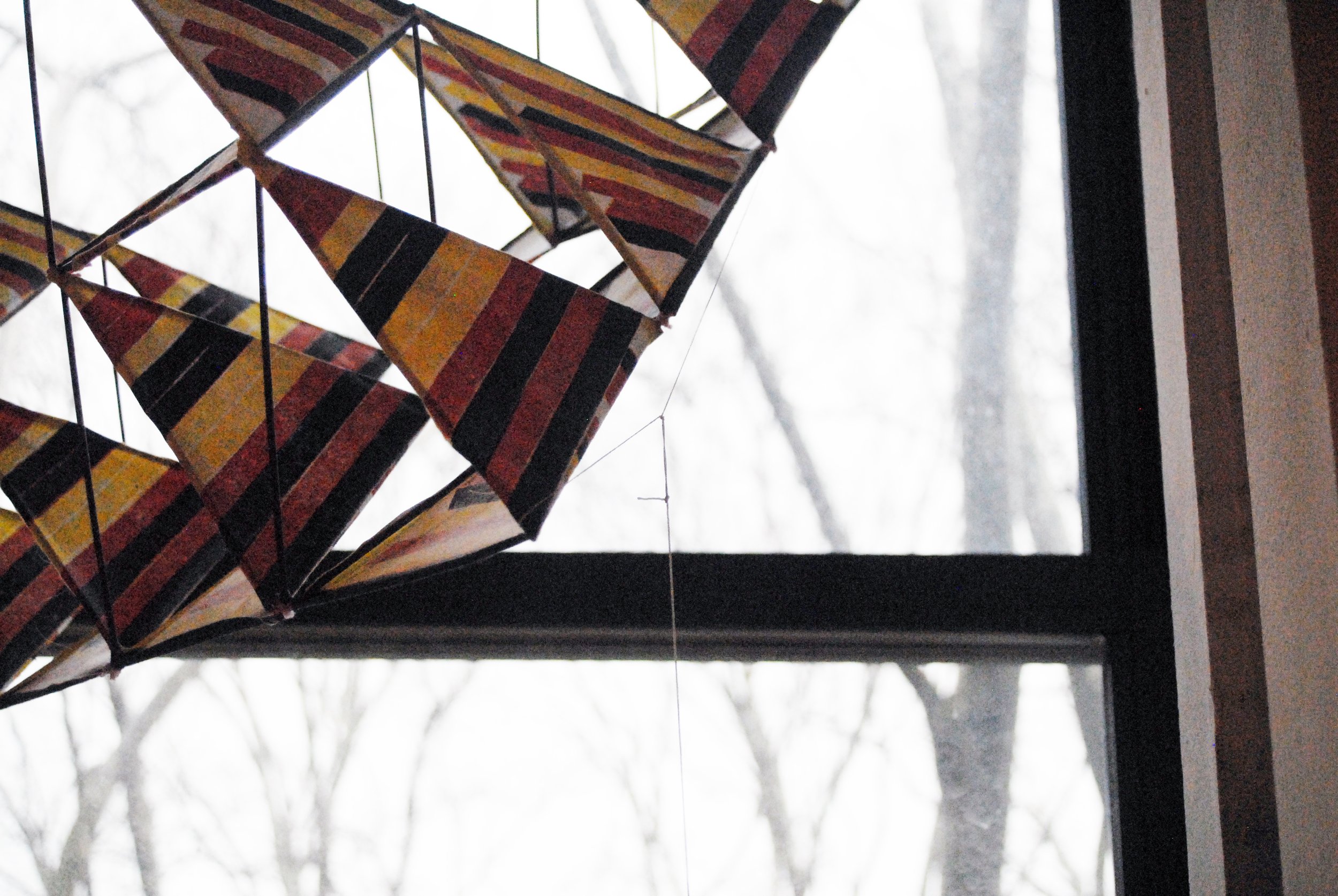 Kite-4.jpg
