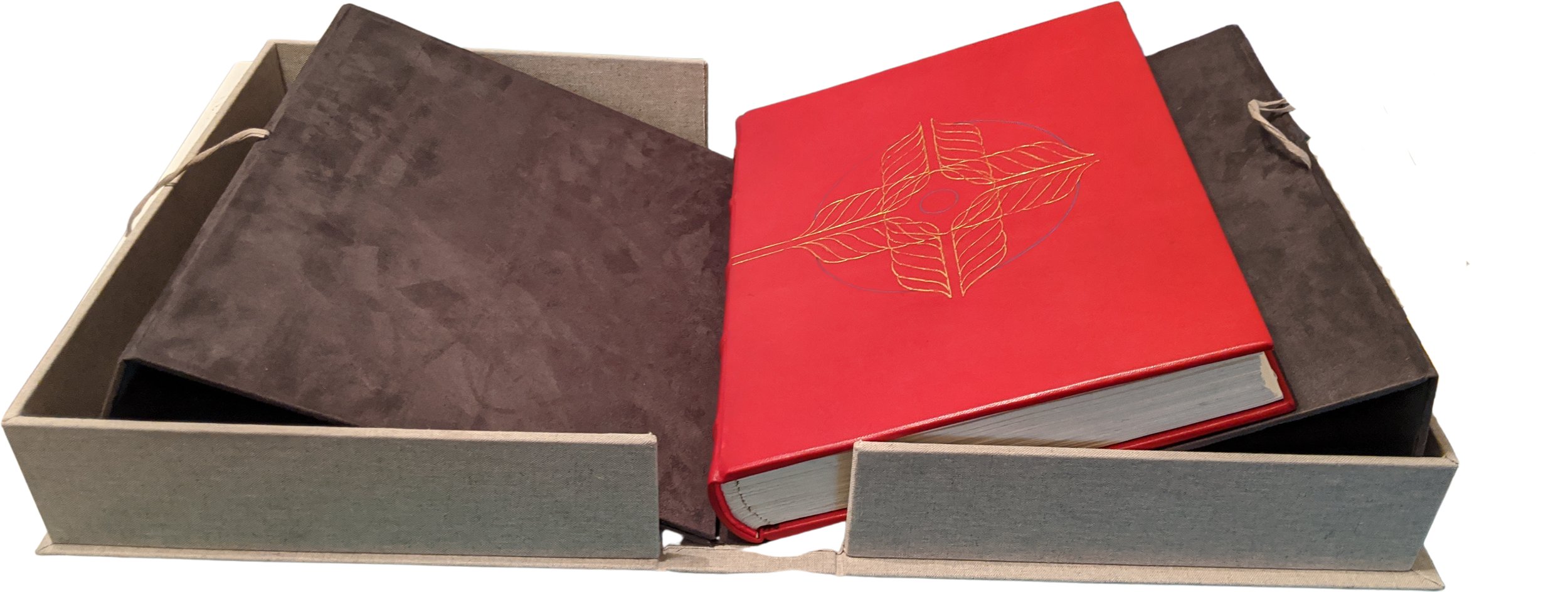 timo book in box.jpg