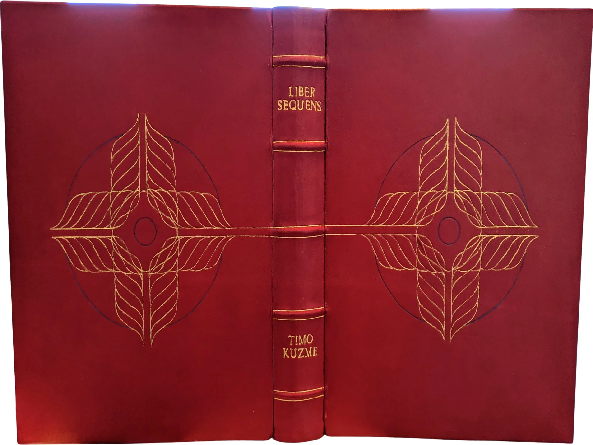 Timo Book.jpg