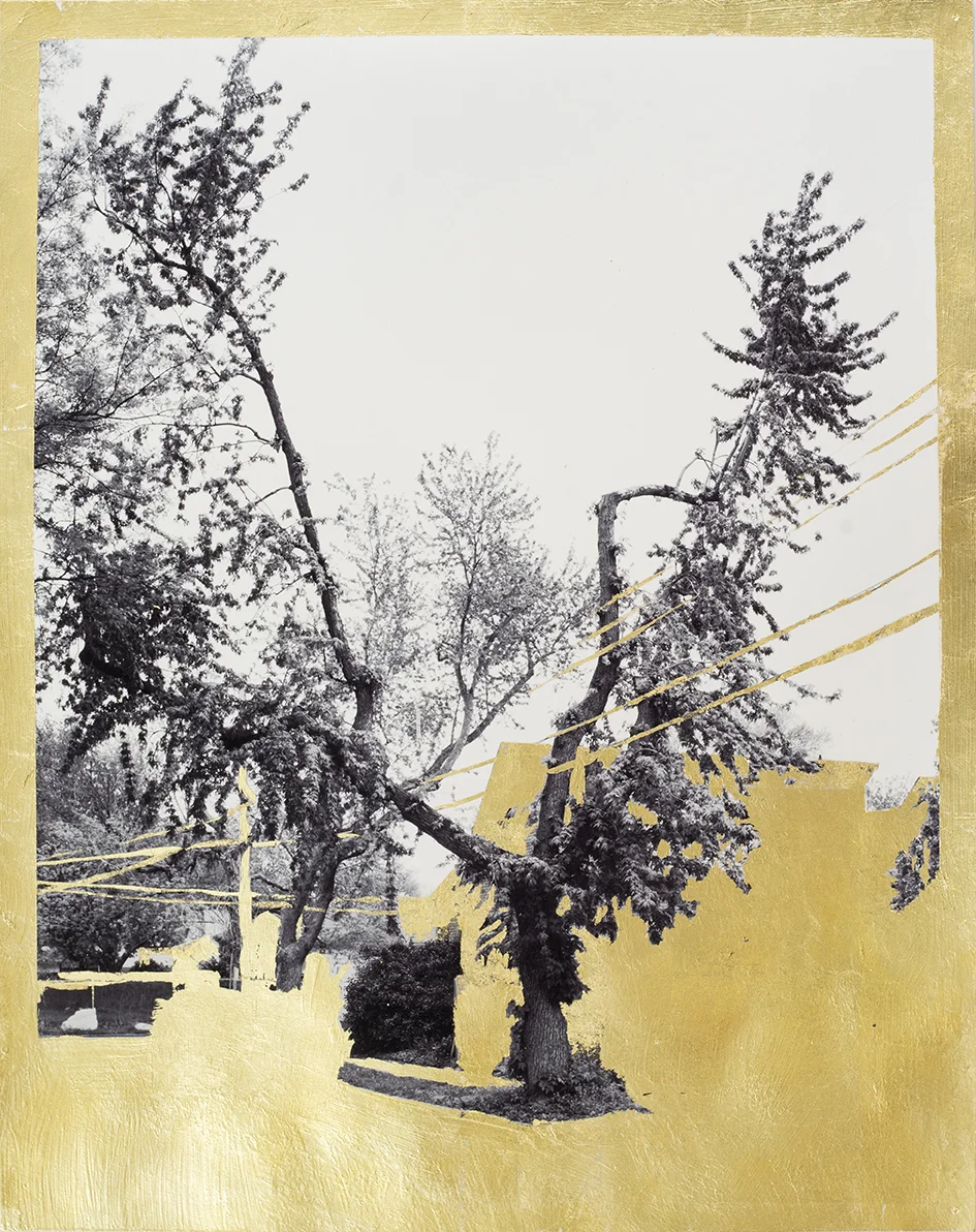 Gold Leaf Tree No. 011