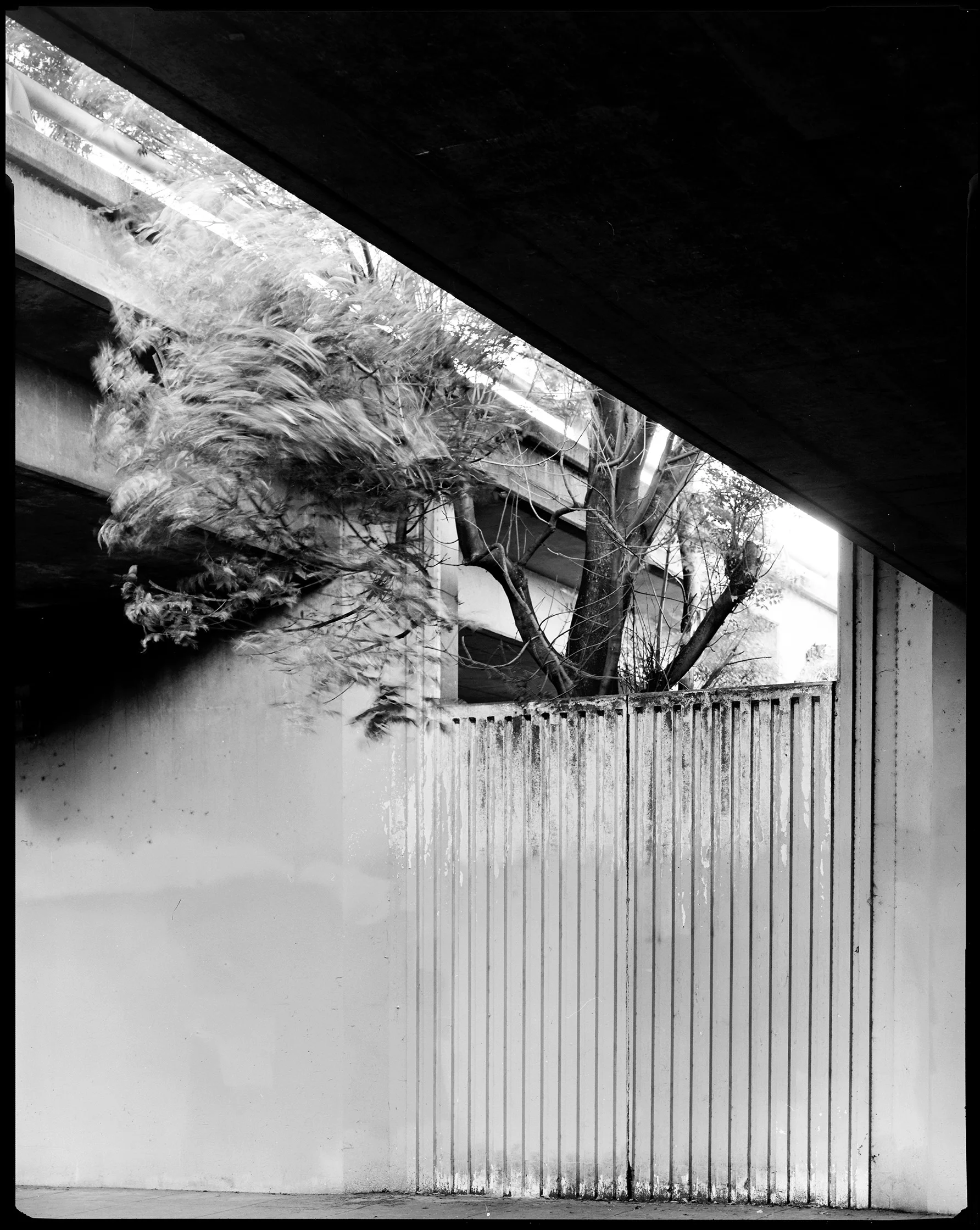 Oakland No. 037, 2018