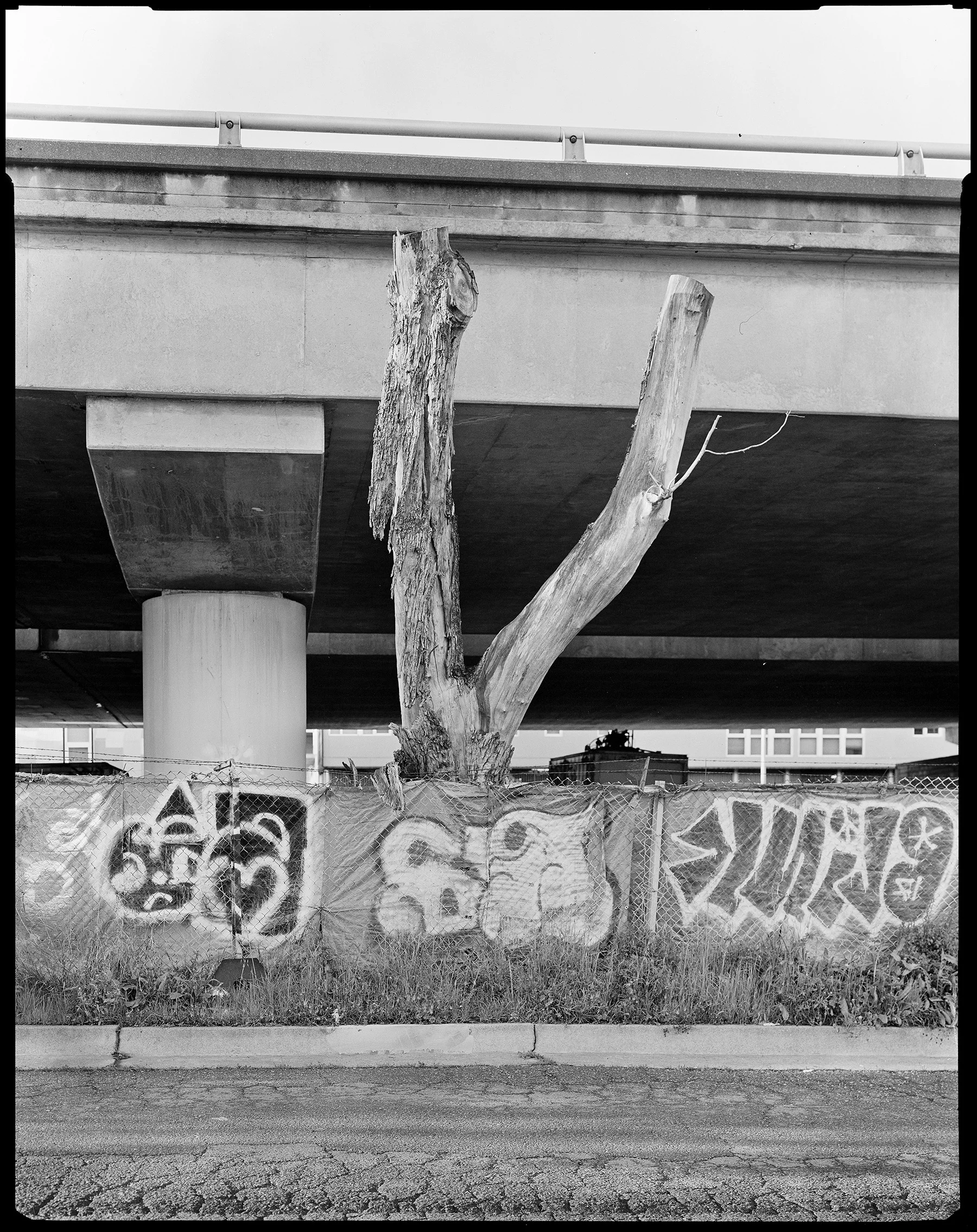 Oakland No. 043, 2018