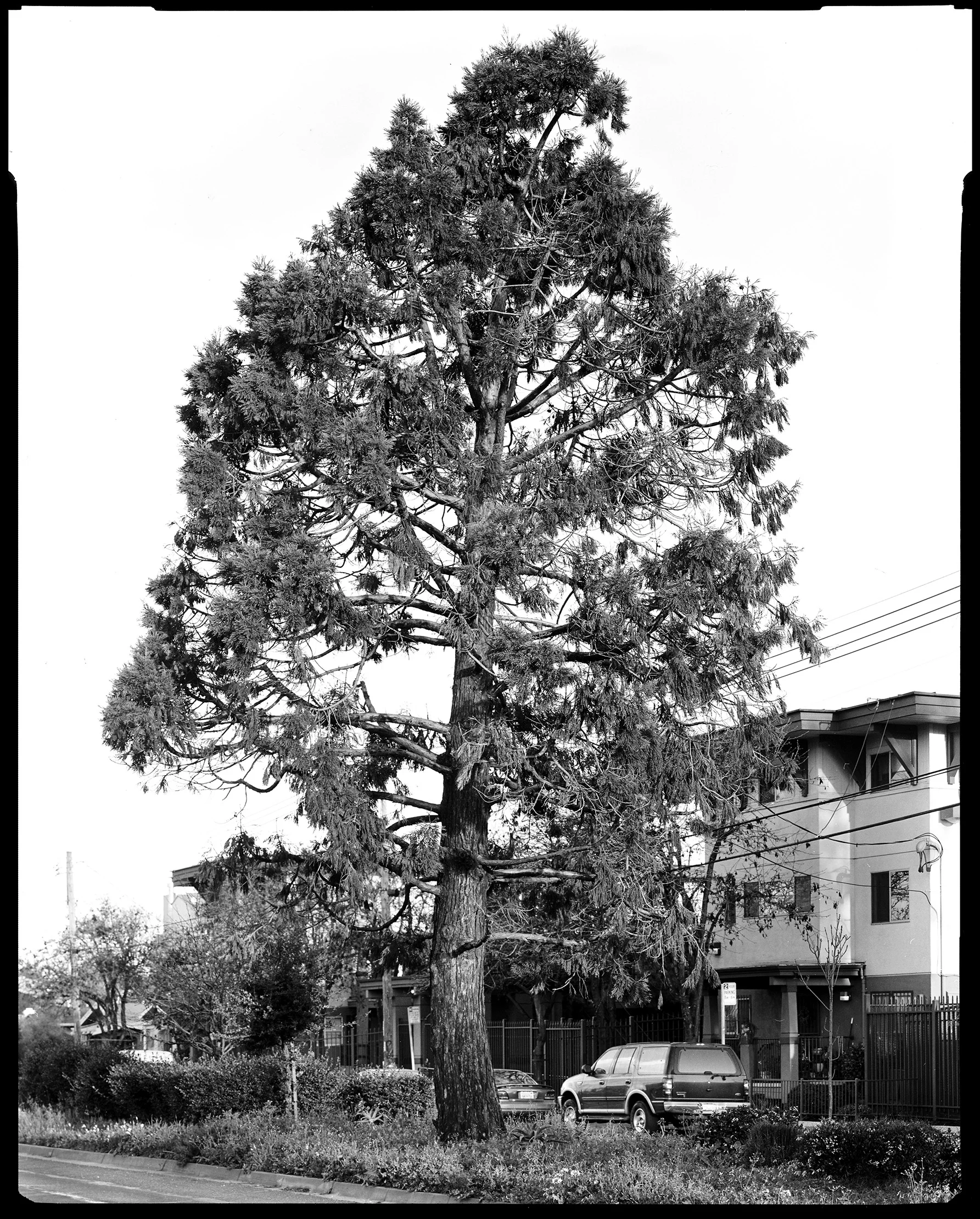 Oakland No. 053, 2018