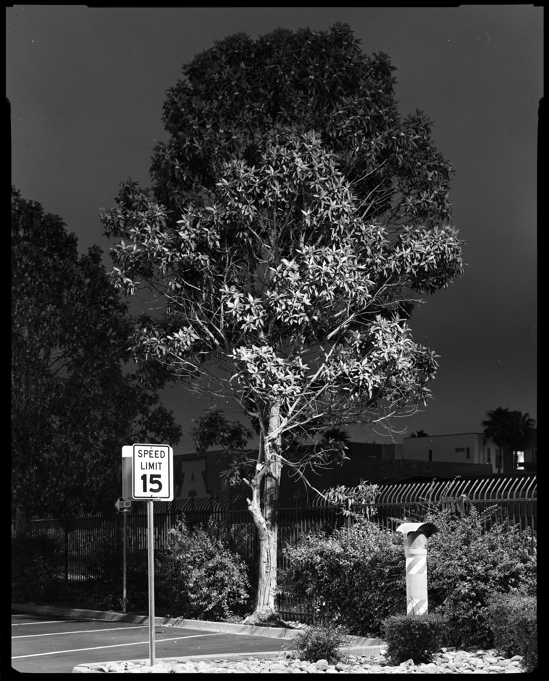 Oakland No. 099, 2018