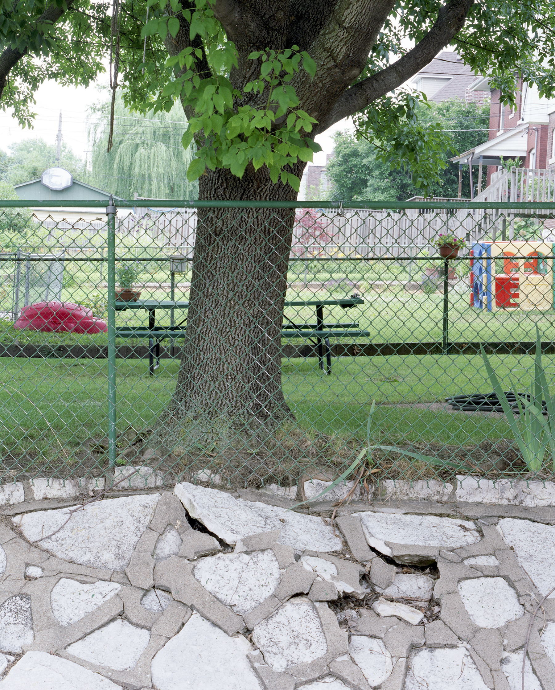Tree, 2009