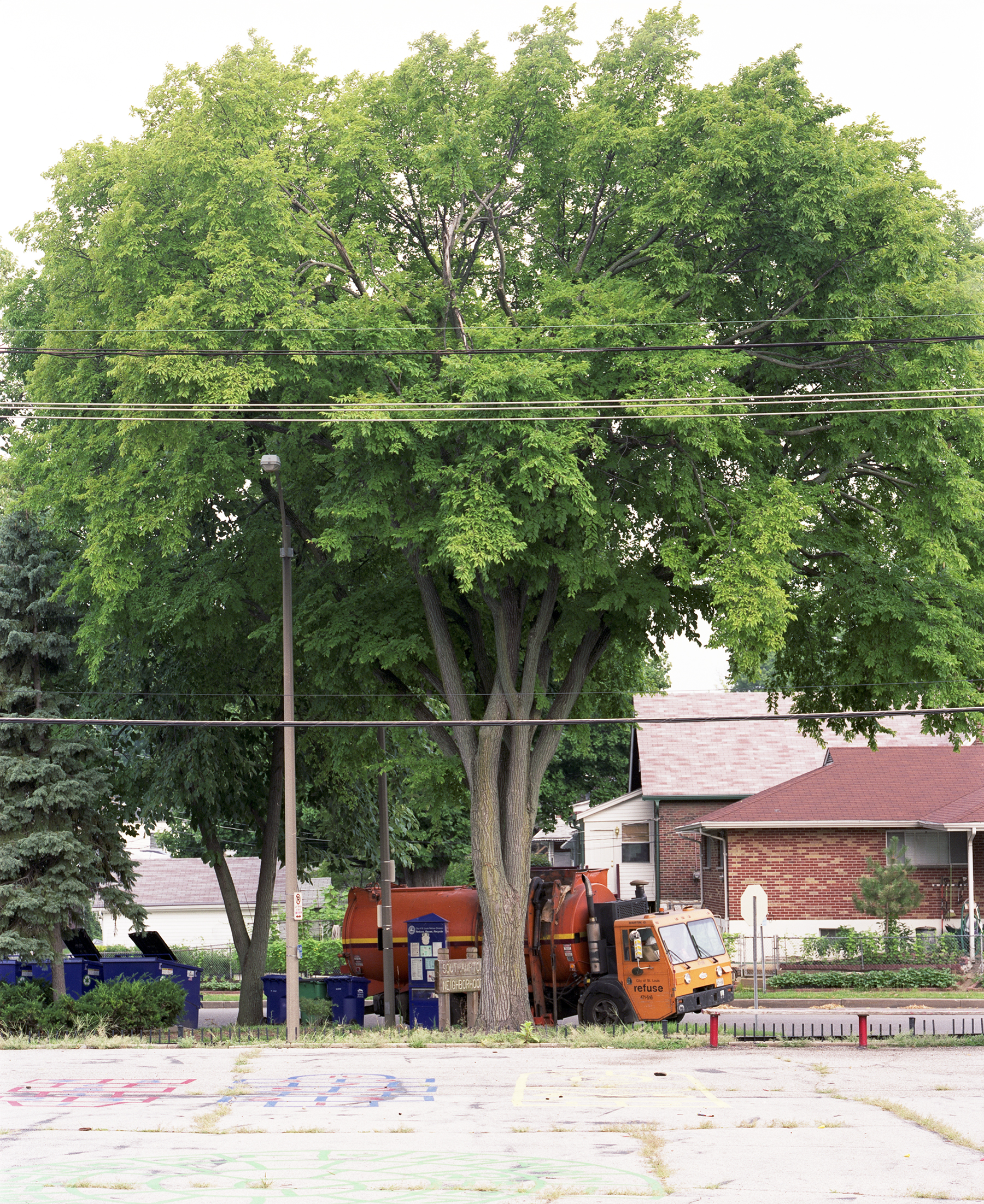 Tree and Trash Truck, 2009