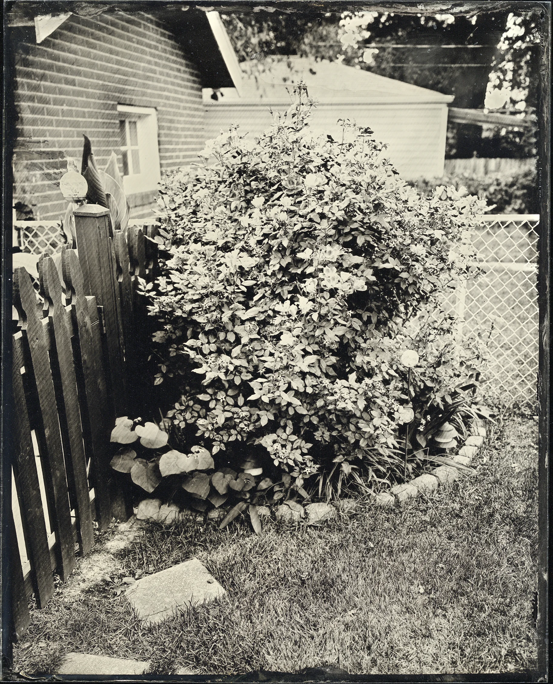 St. Louis Ambrotype No. 159