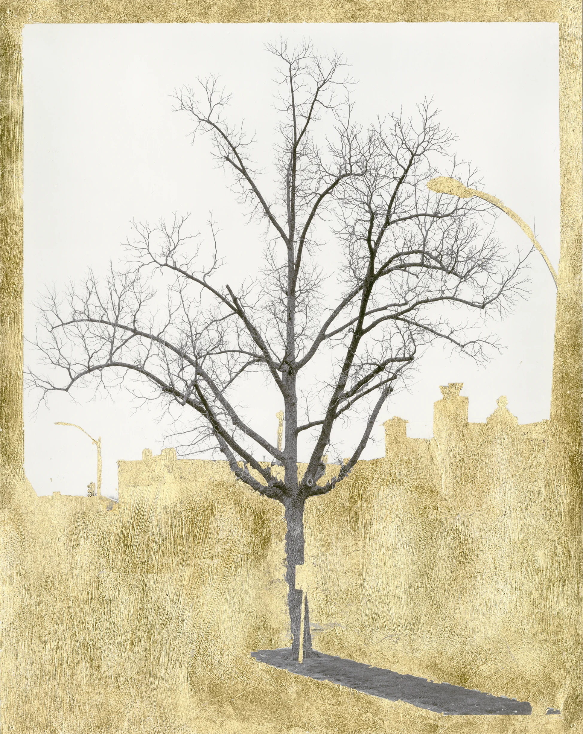 Untitled_Panorama1.jpg