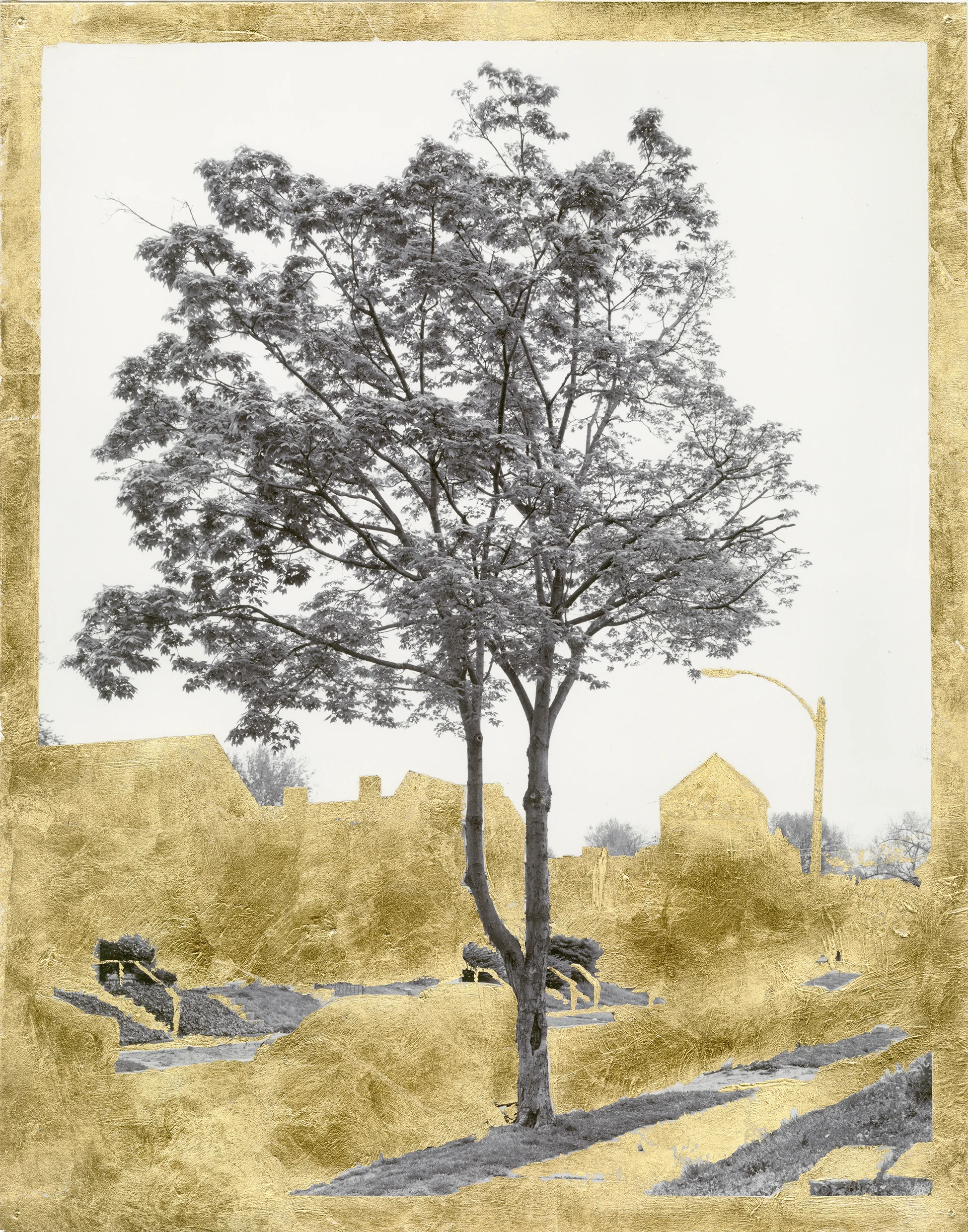 Untitled_Panorama2.jpg