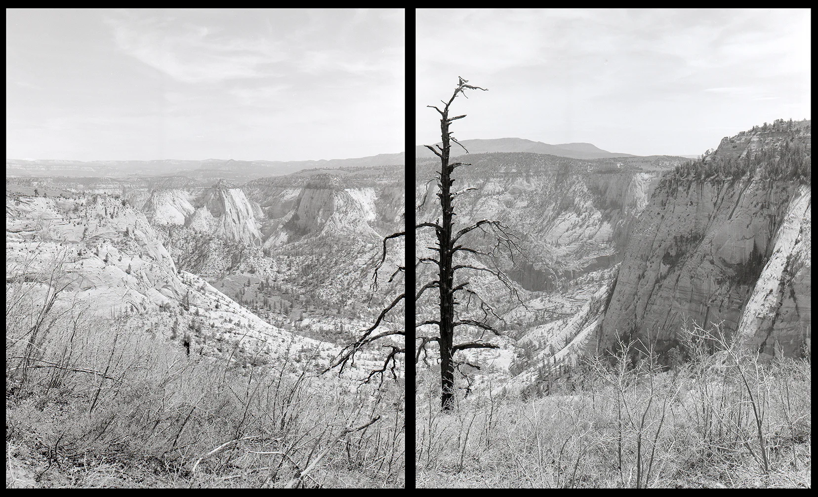 Zion001.jpg