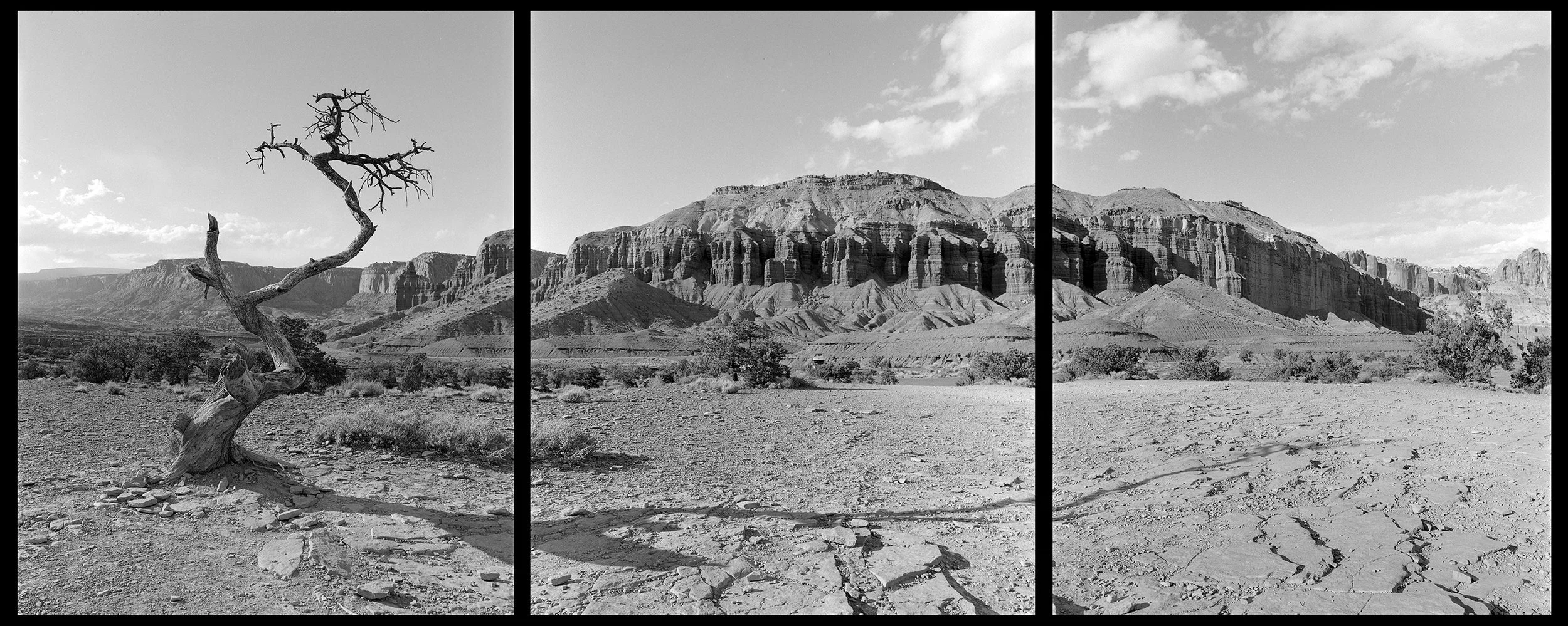 CapitolReef003.jpg