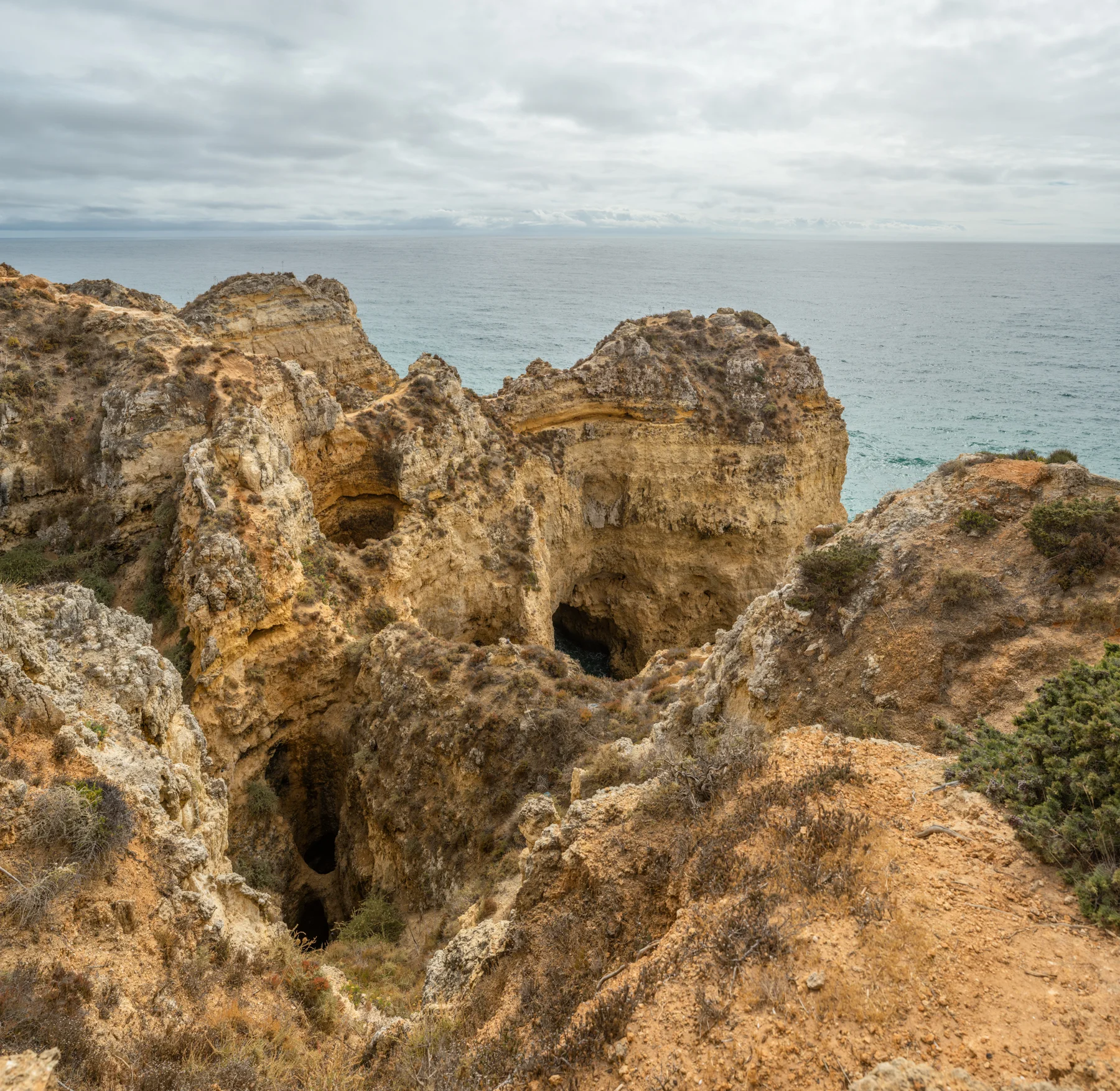 _DSC3647-Pano40x41.jpg