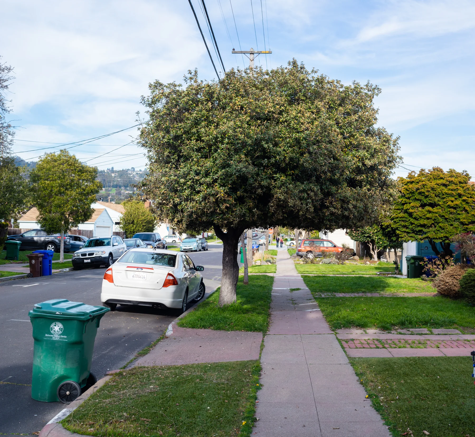 _DSC6228-Pano.jpg
