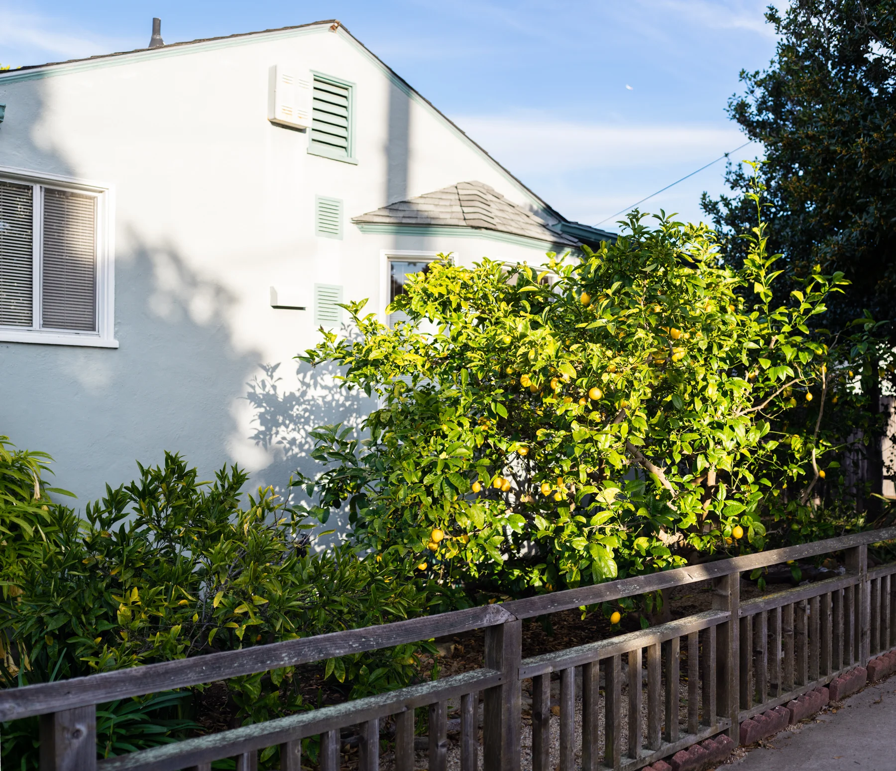 _DSC6298-Pano.jpg