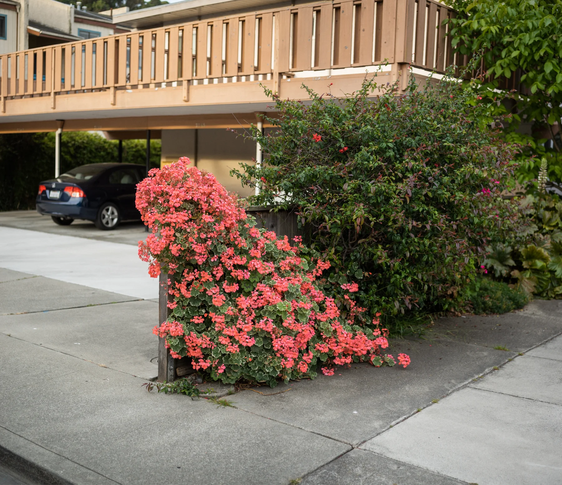 Richmond, CA 2019
