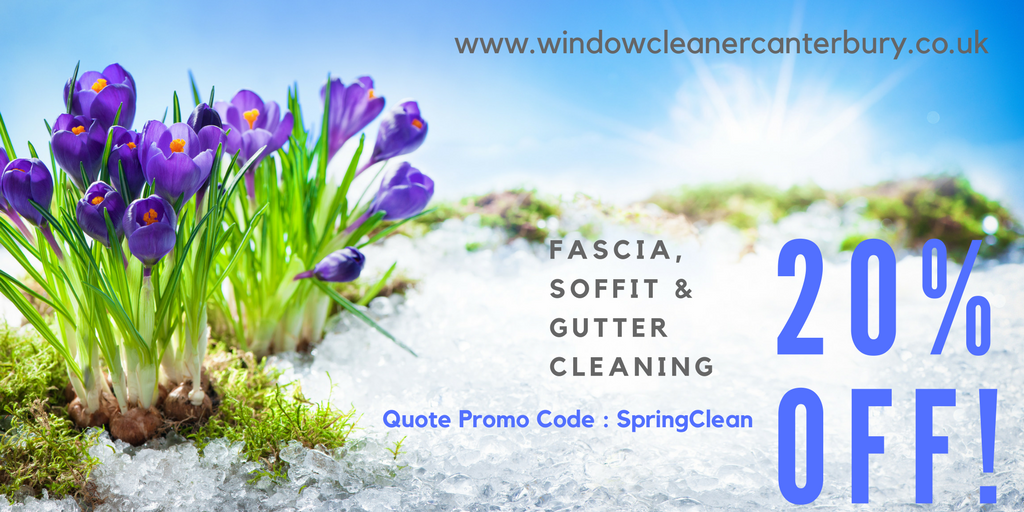 spring-clean-20-percent-off.png