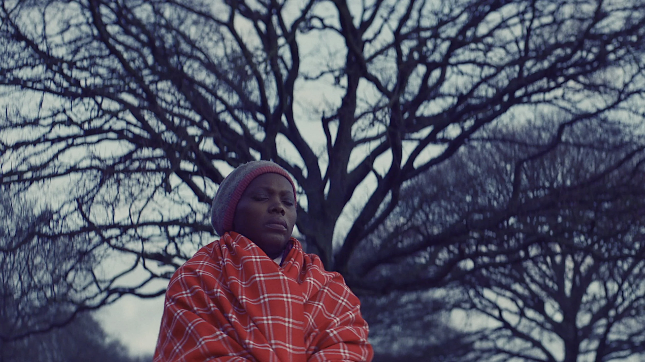 A middle aged black womn is sitting outside in front of a tree, meditating. She is wearing a red checked robe