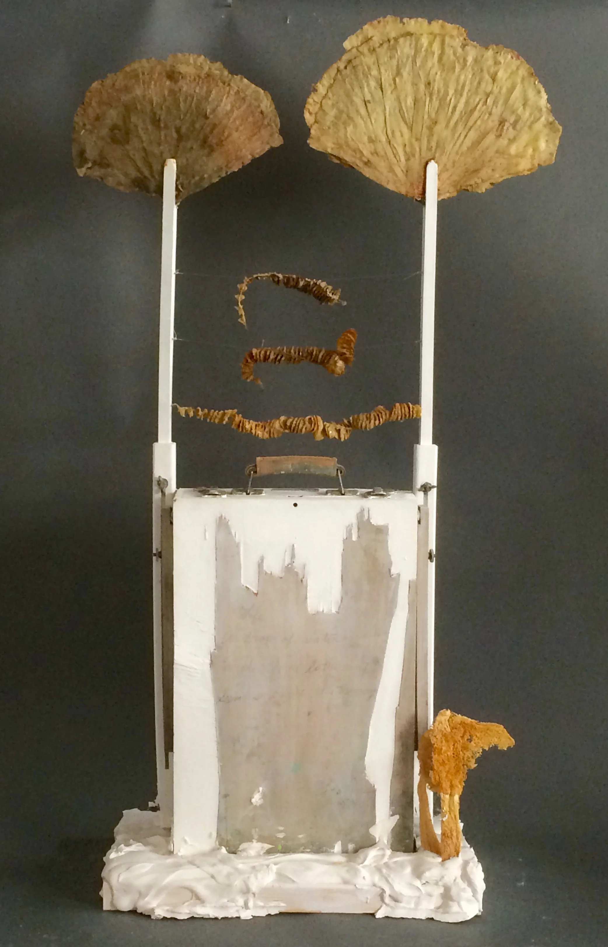 En Plein Air (back) Found objects, dried plant and animal material, encaustic, fish line, glue, nails, graphite, hydrocal and white paint