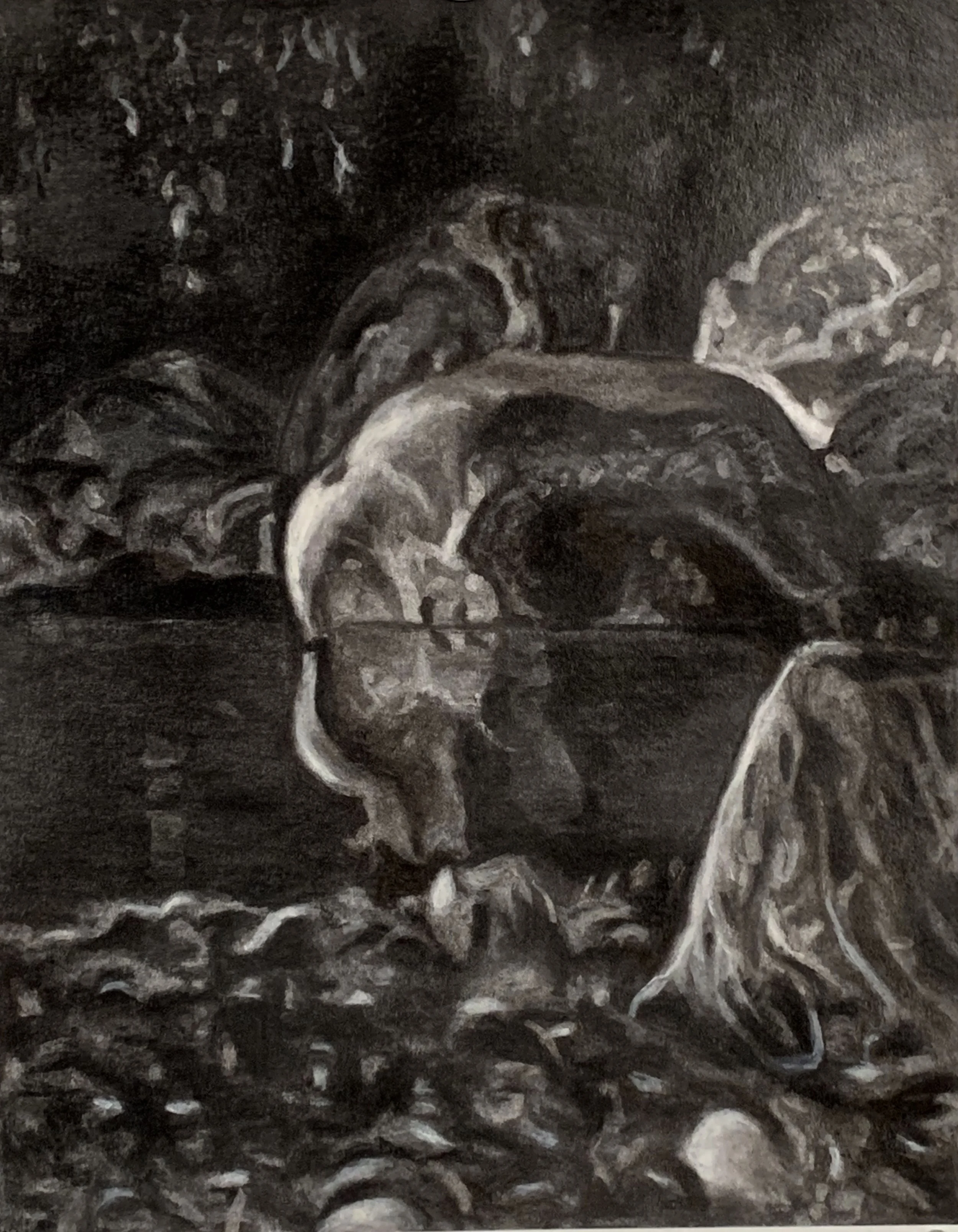 A Quiet Moment Charcoal with pastel on vellum mounted on aluminum. 23 x 18 in./58.4 x 45.7 cm.