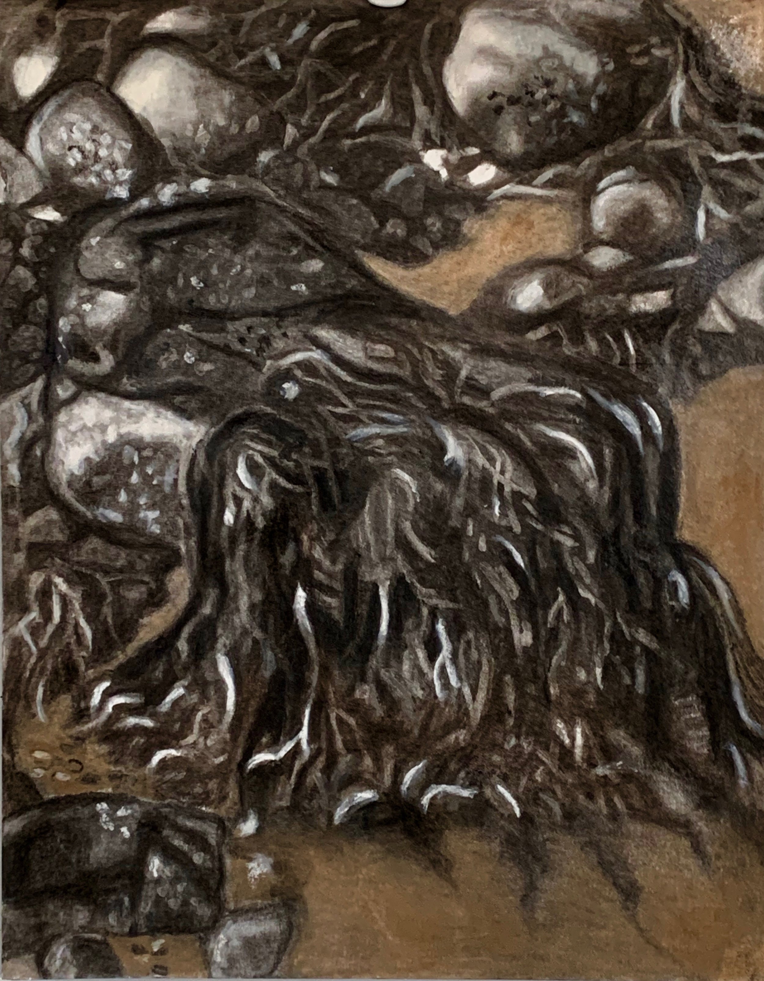   Sea Monster  Charcoal with pastel on vellum mounted on aluminum.  23 x 18 in./ 58.4 x 45.7 cm. 2019 