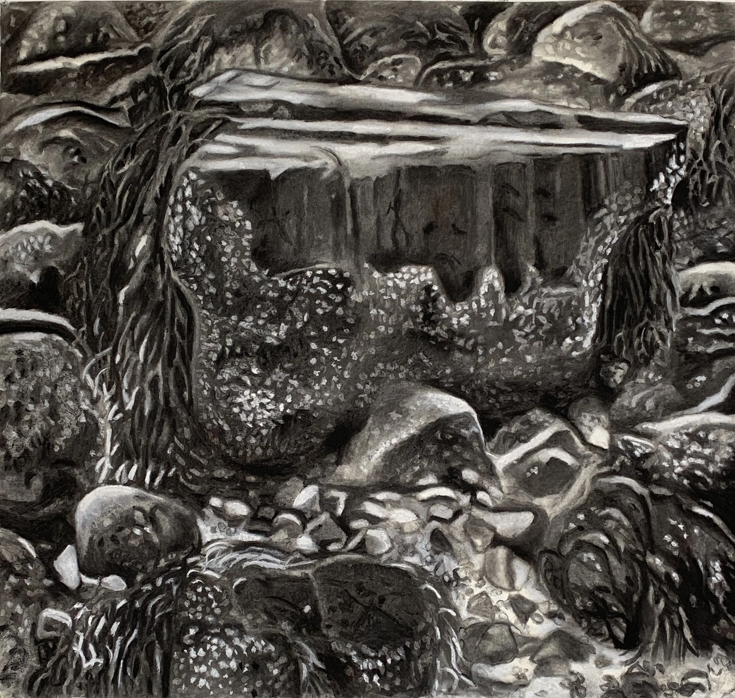 Untitled Charcoal with pastel on Strathmore paper mounted on aluminum. 41.5 x 43 in./105.4 x 109.2 cm.