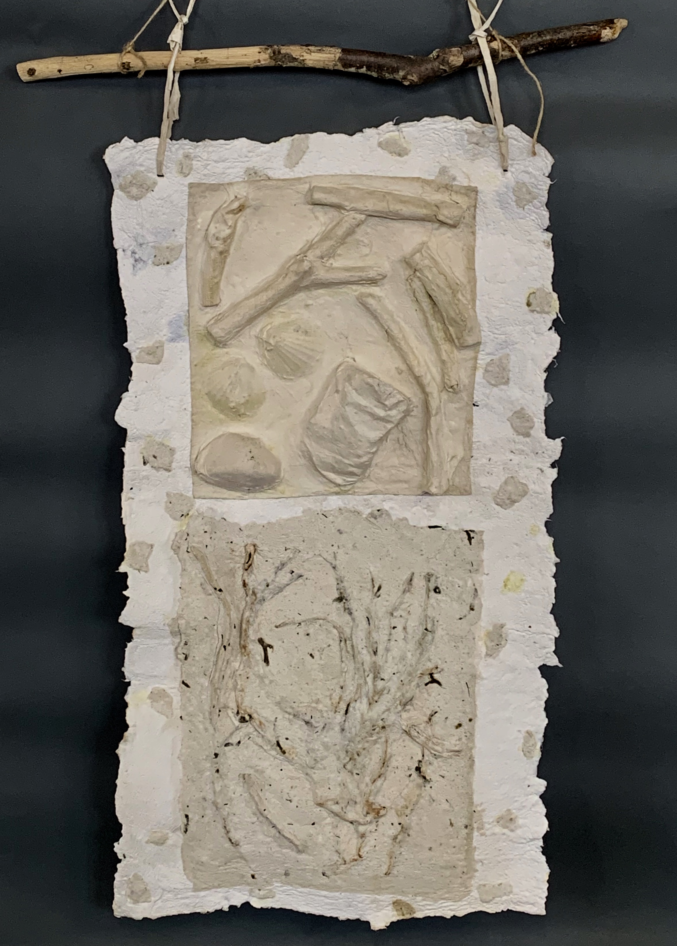 Untitled . Relief with branches imbedded in hand made paper from seaweed, cotton, and abaca.