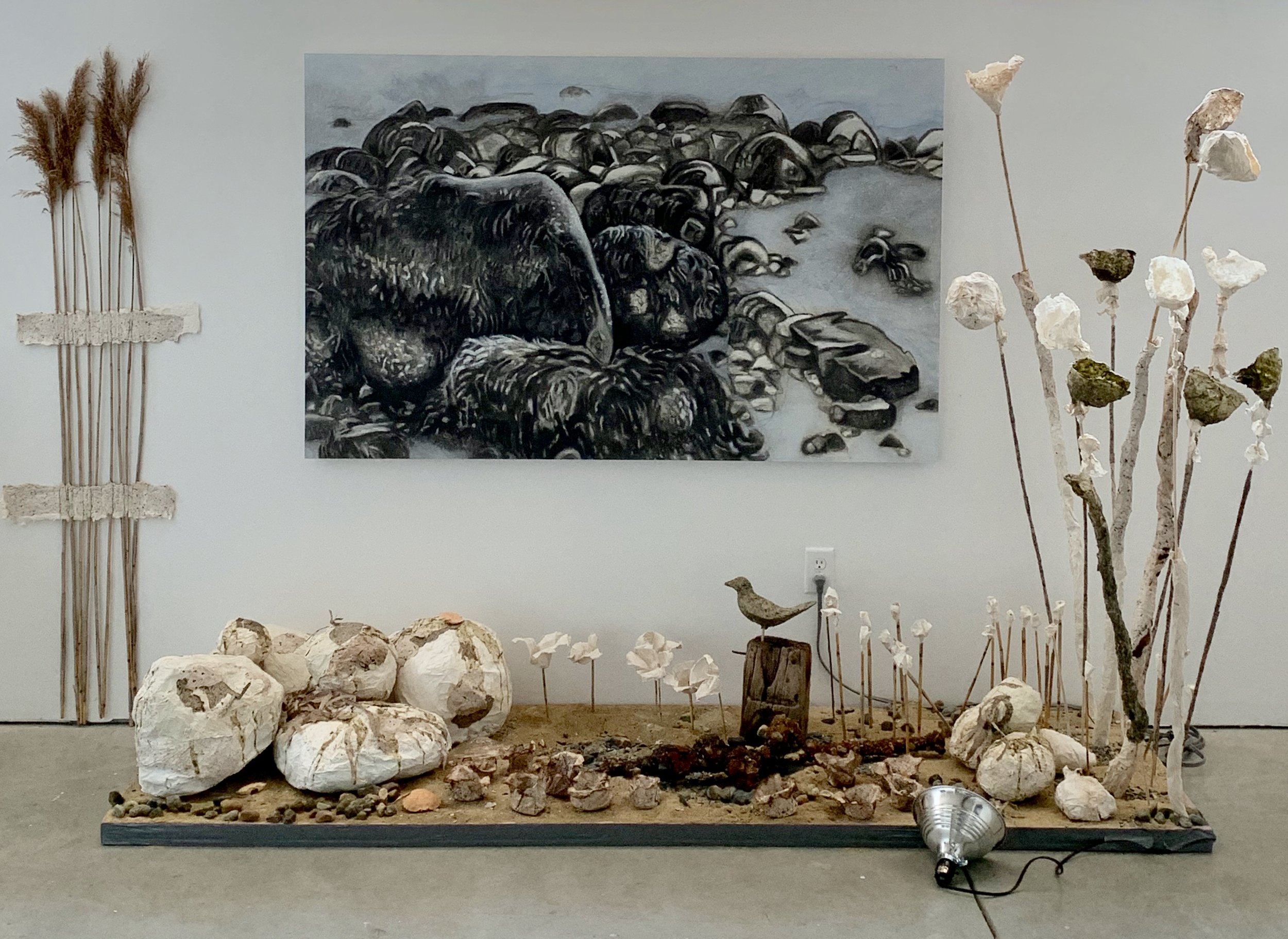  Installation shot, Galatea Fine Art, Boston  Sea Rock Sculpture Garden .  Handmade paper from seaweed, abaca and cotton pulp with charcoal drawing in background, rocks, sand, reeds, pebbles, and found objects on fiberglass insulation. 2019 
