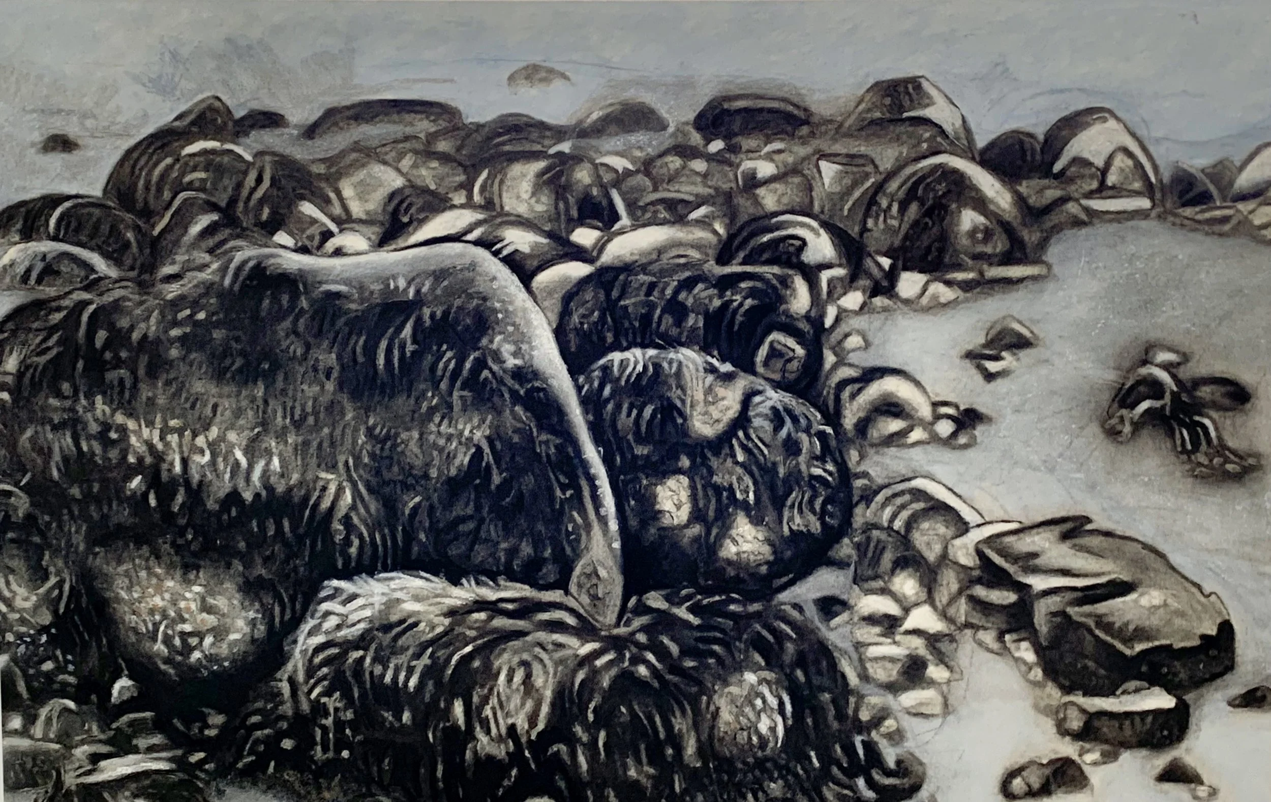 School of Rocks Charcoal with pastel on Strathmore paper mounted on aluminum. 41.4 x 65 in/ 92.7 x 165.1 cm.