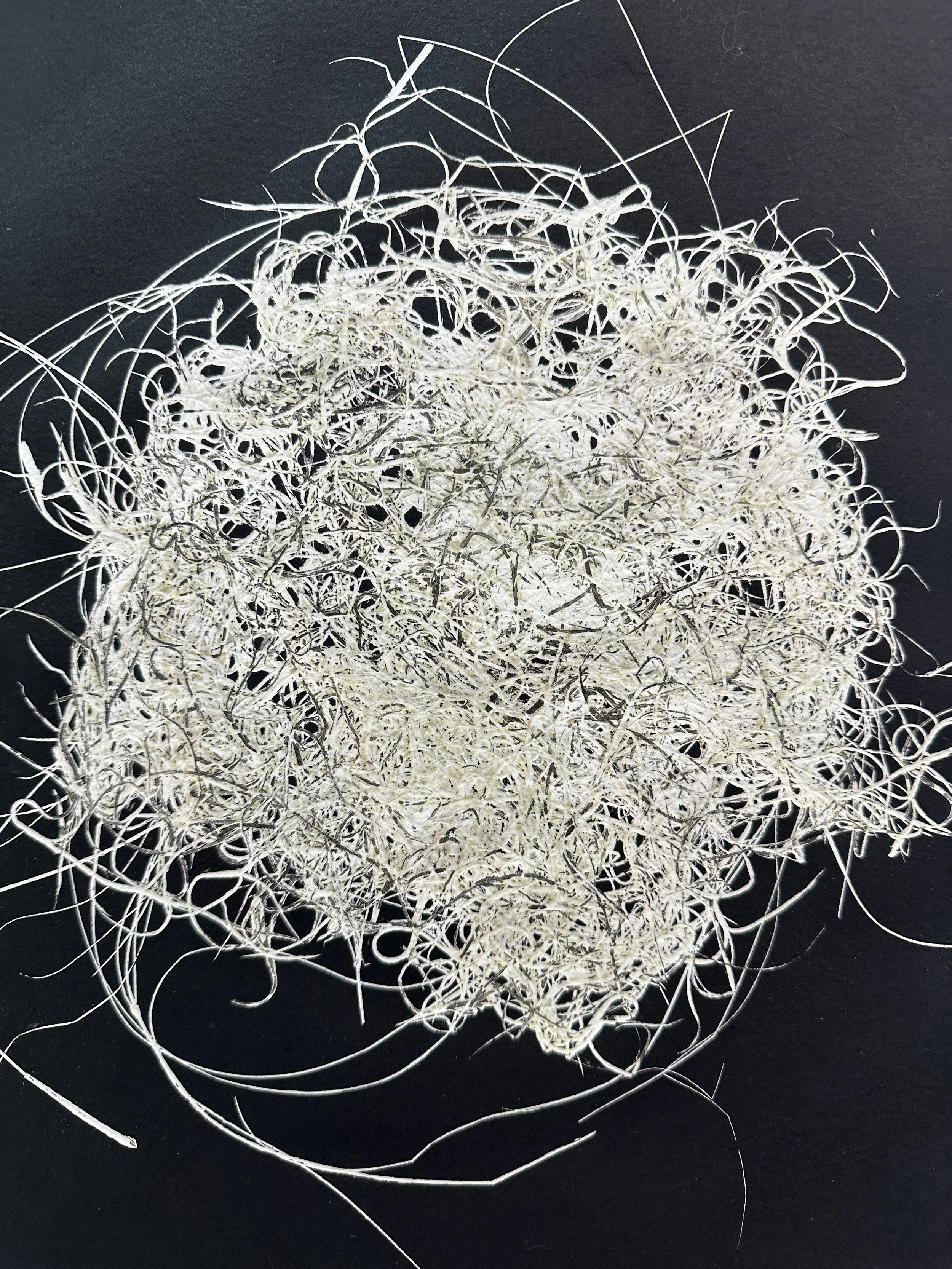 Caruso, J. Introspection. Monoprint. 14 x 11 in. 2024..JPG